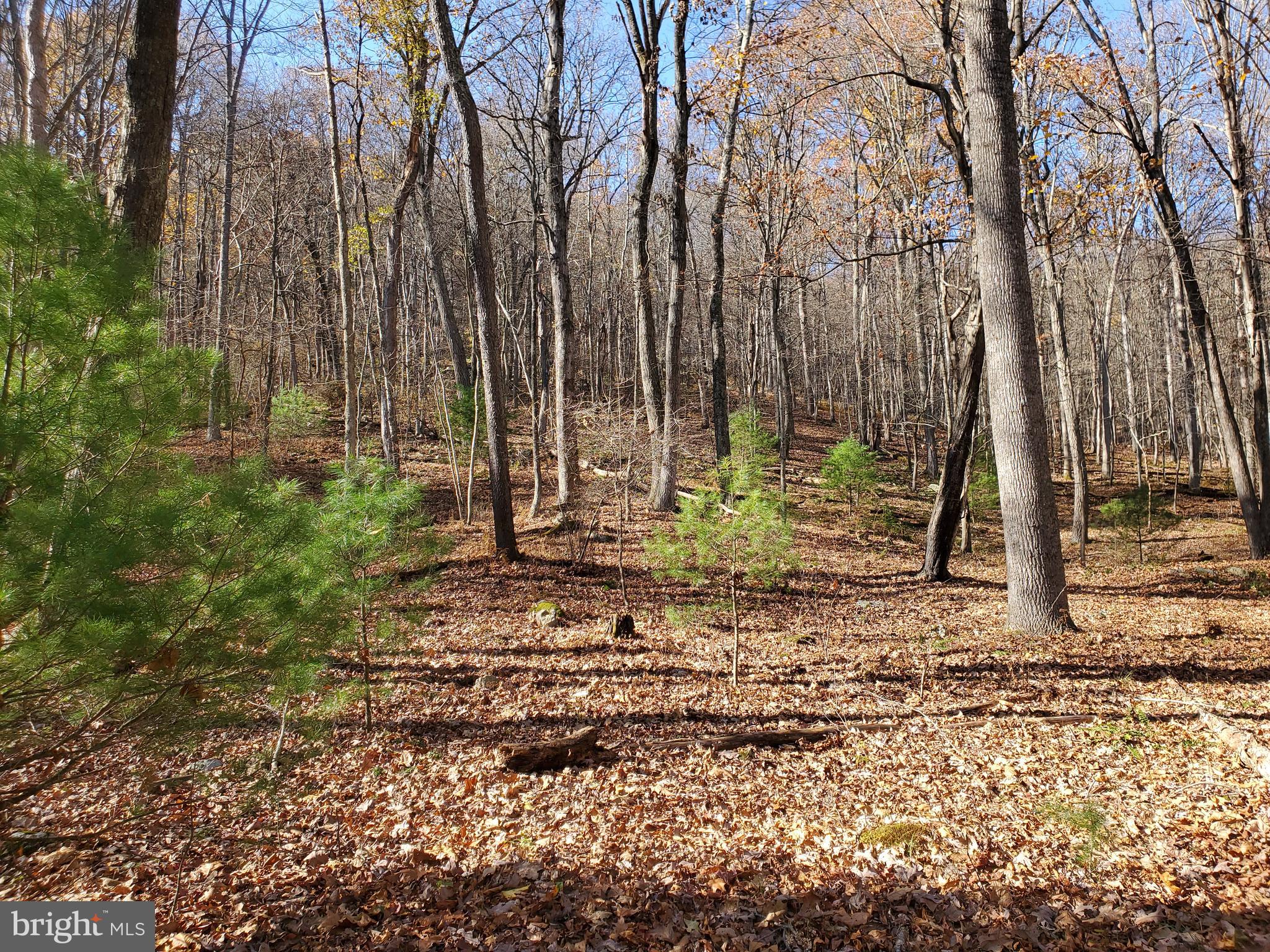 TROUT POND - Residential