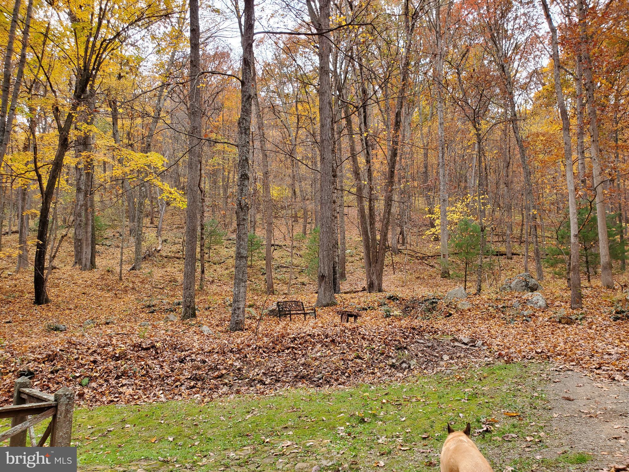 TROUT POND - Residential