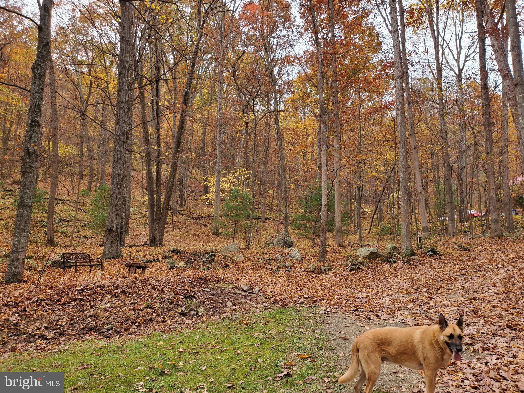 TROUT POND - Residential