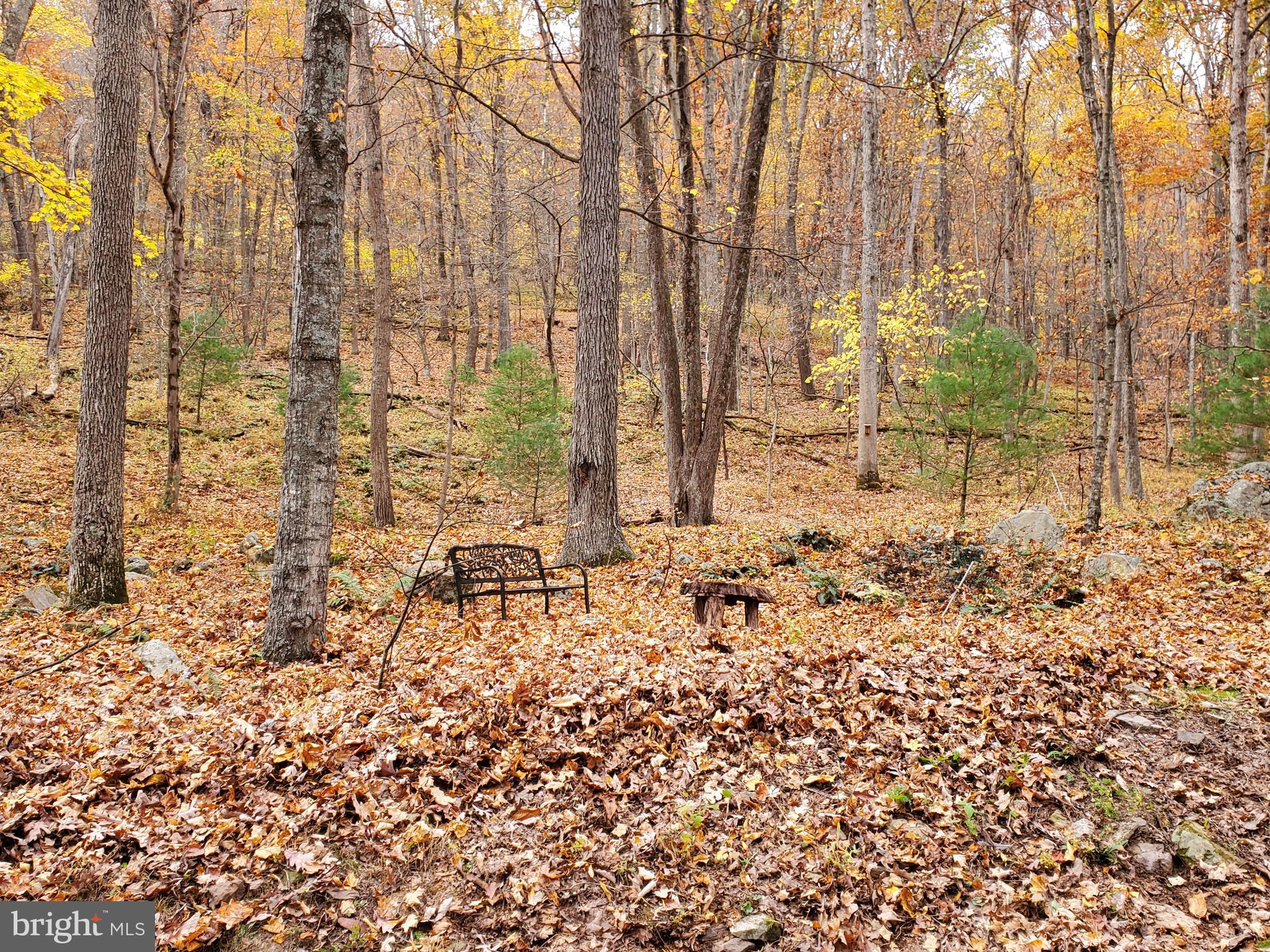 TROUT POND - Residential