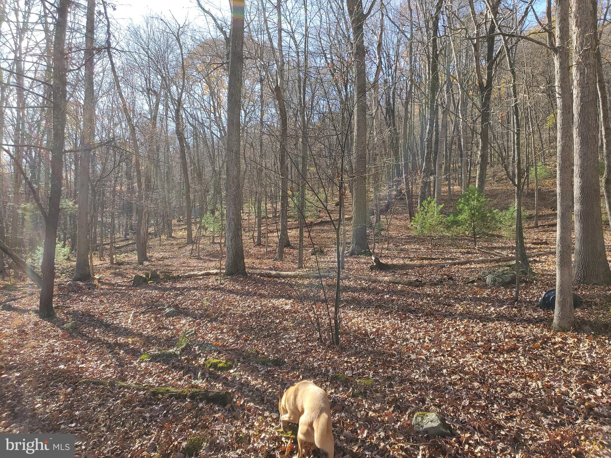TROUT POND - Residential