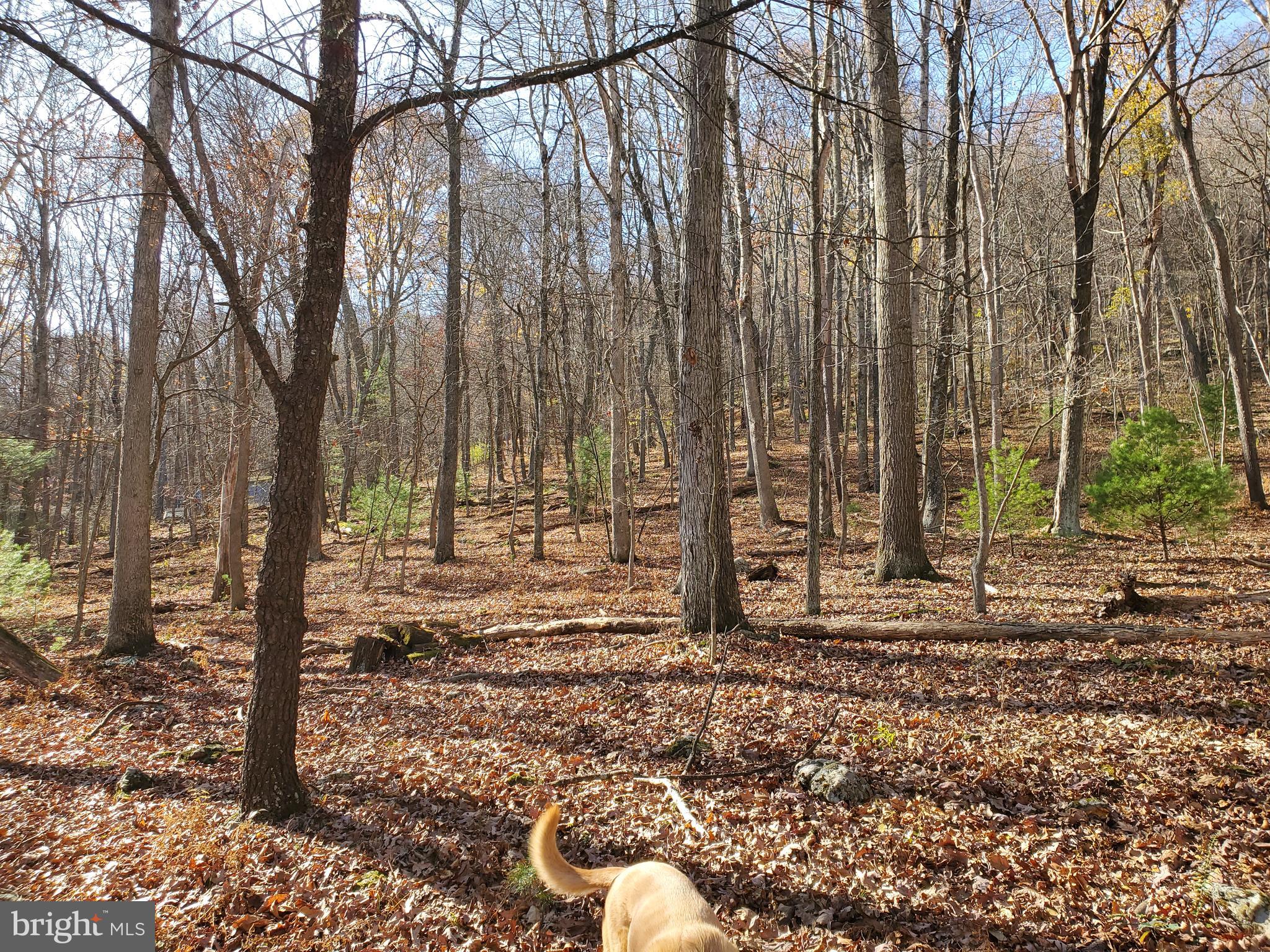 TROUT POND - Residential