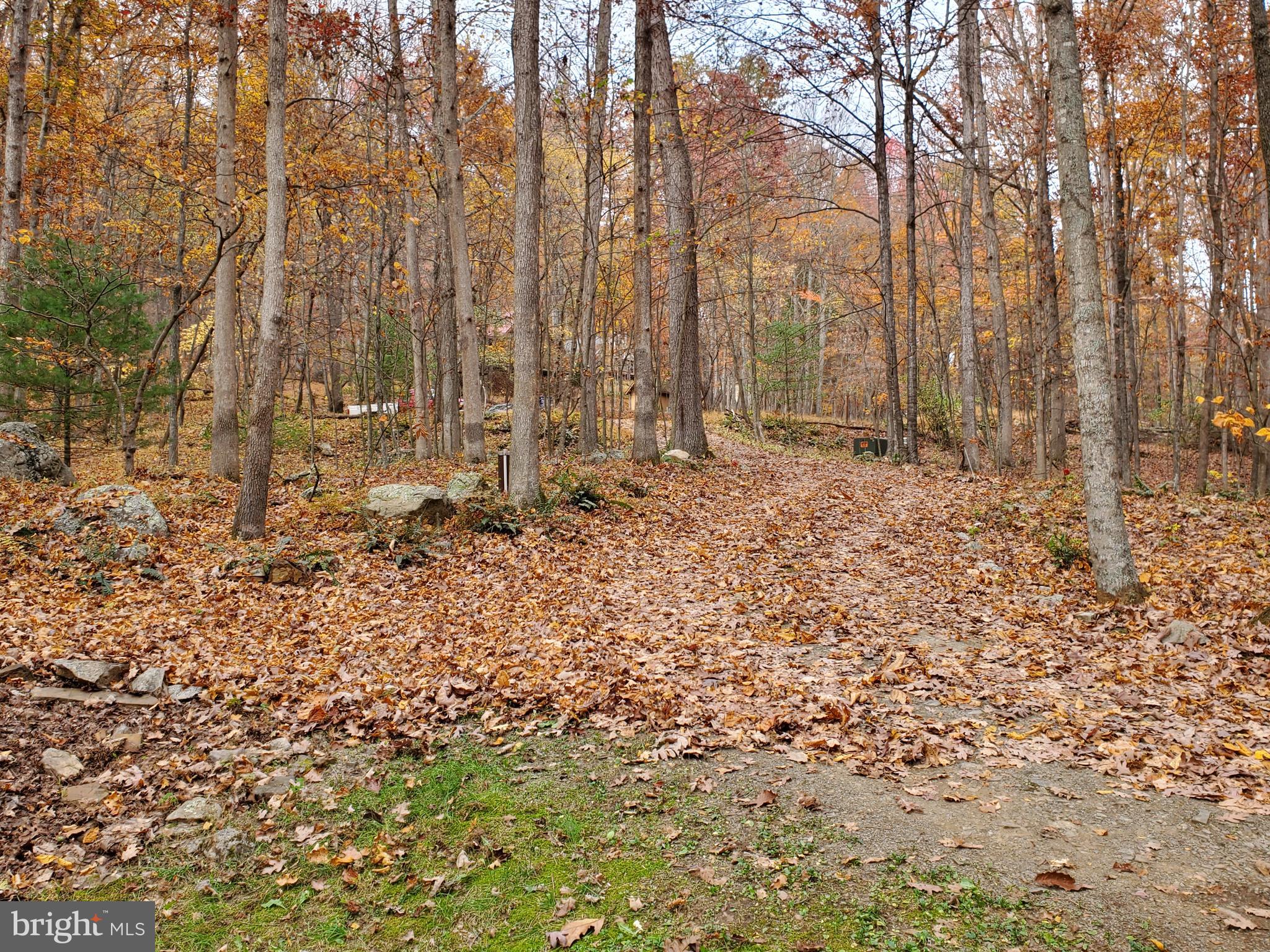 TROUT POND - Residential