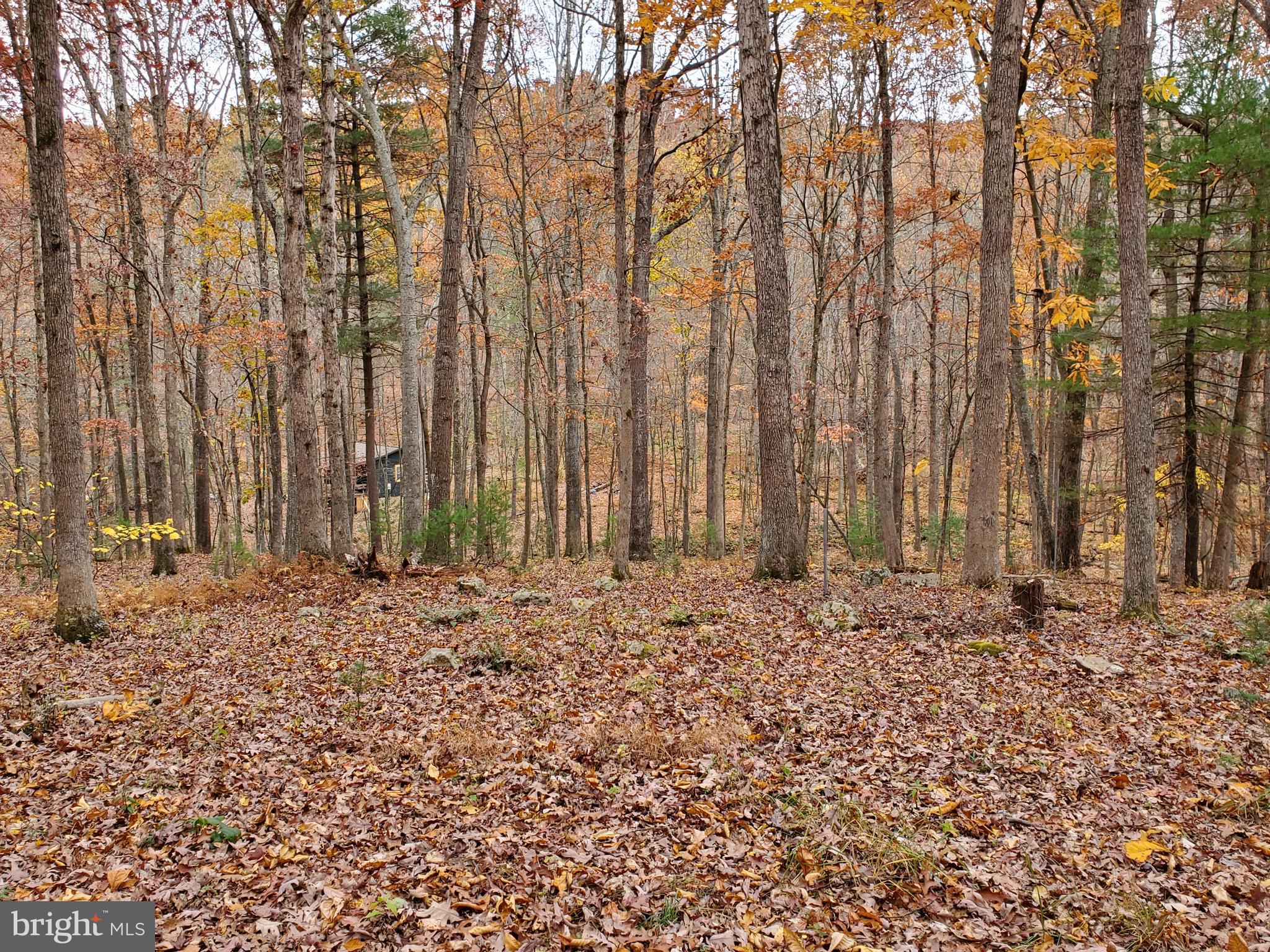 TROUT POND - Residential
