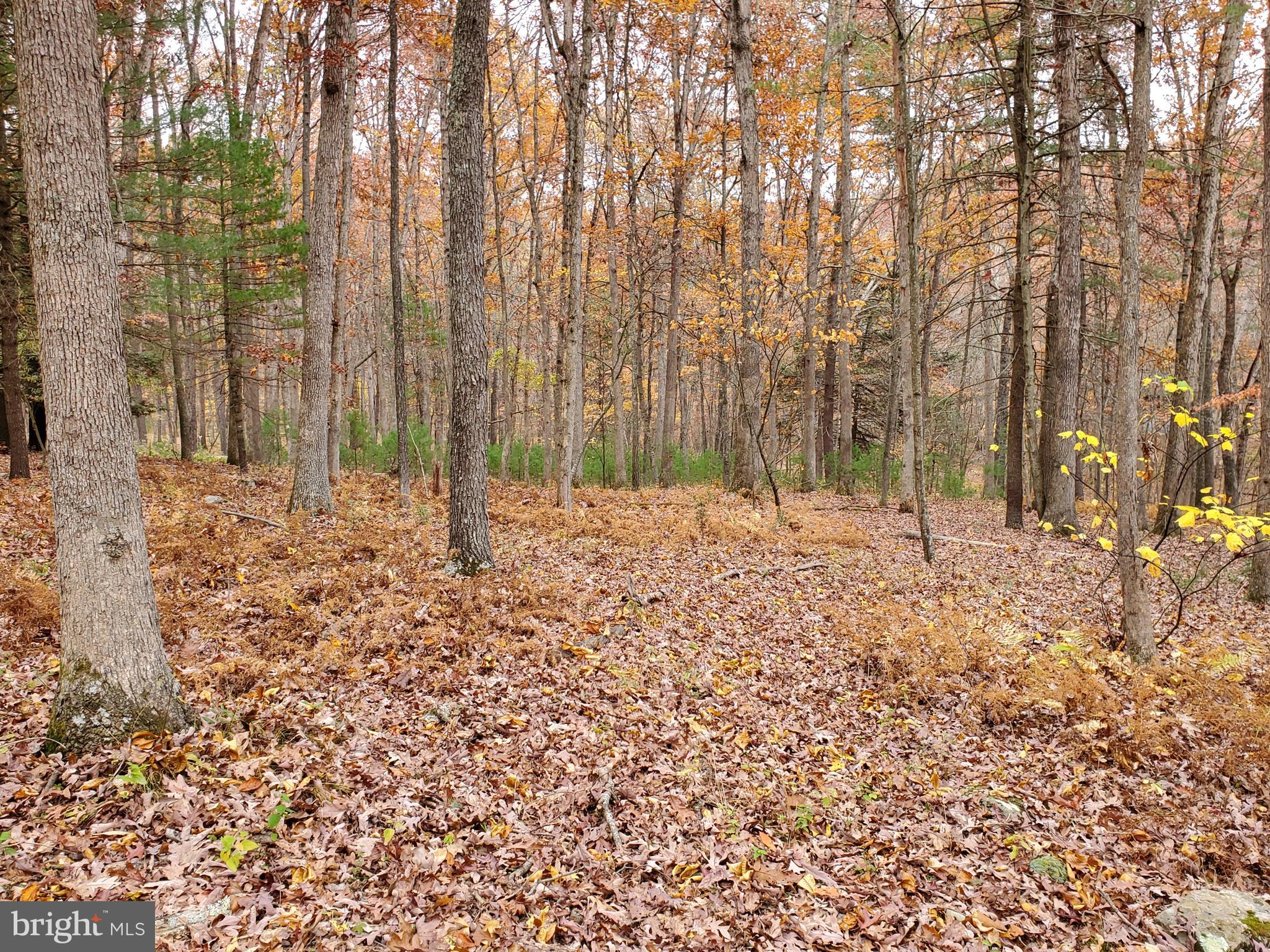 TROUT POND - Residential