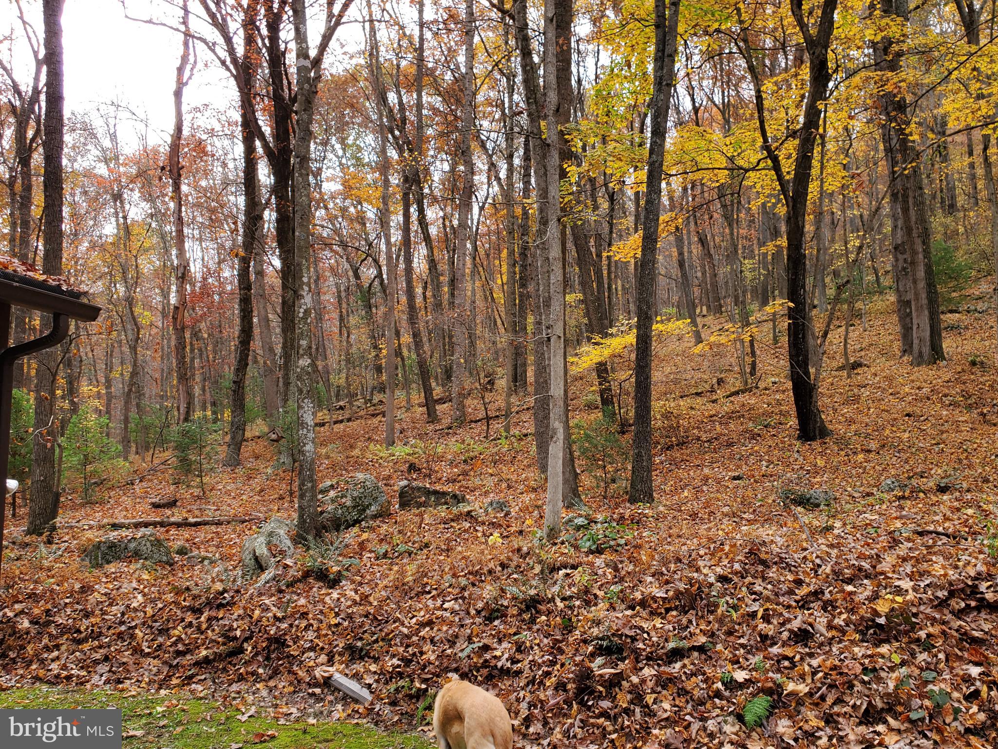 TROUT POND - Residential