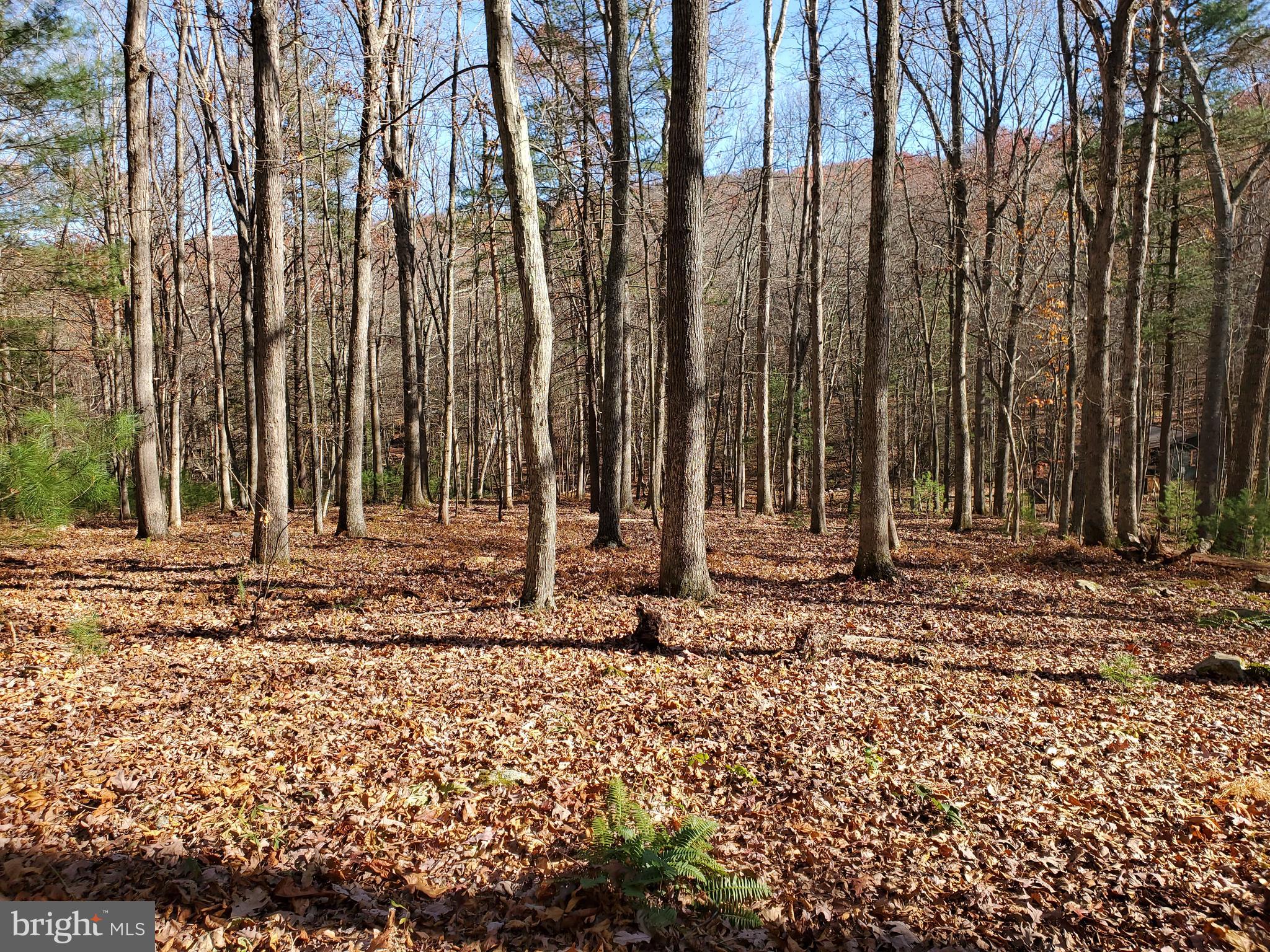 TROUT POND - Residential