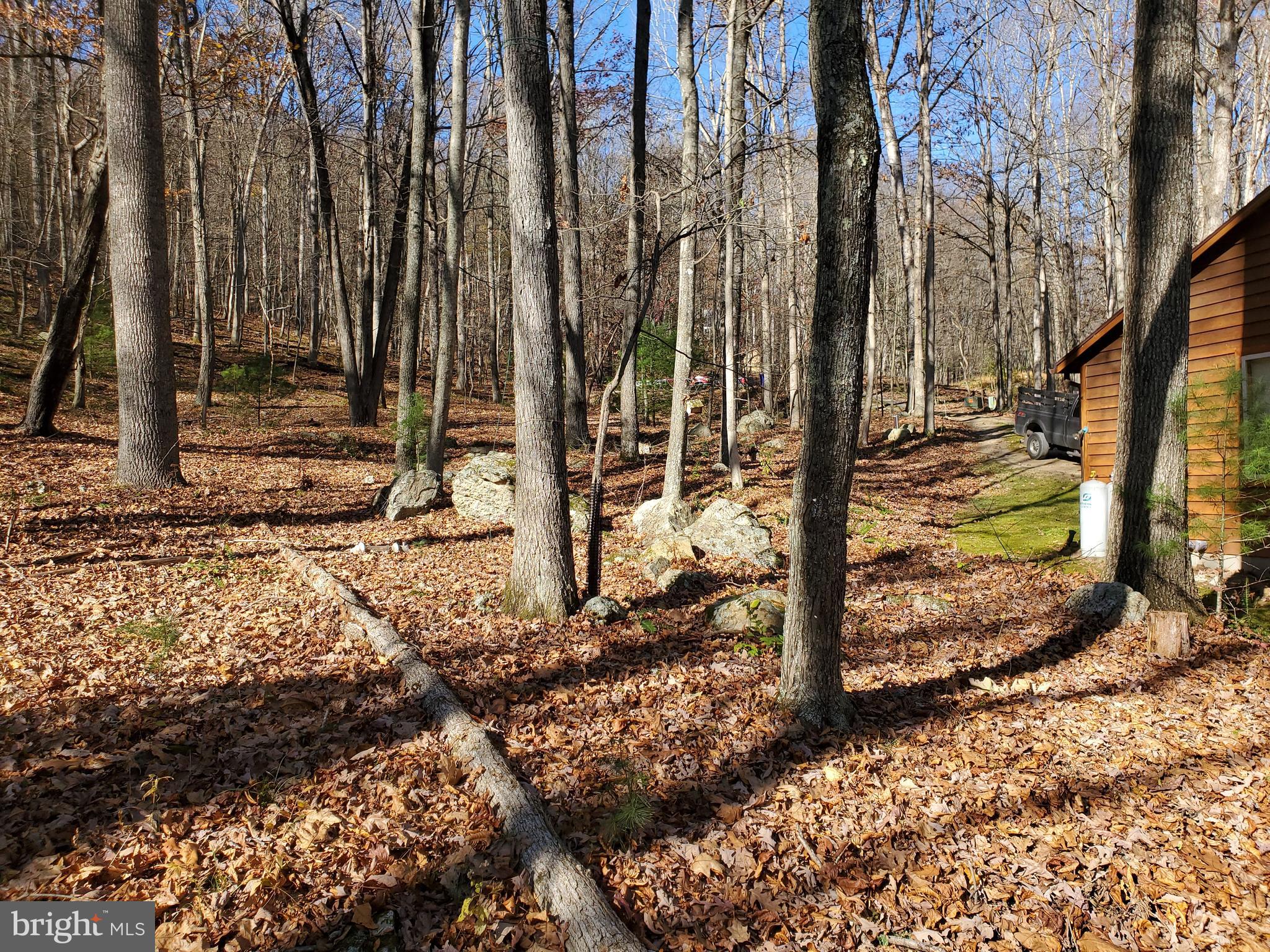 TROUT POND - Residential
