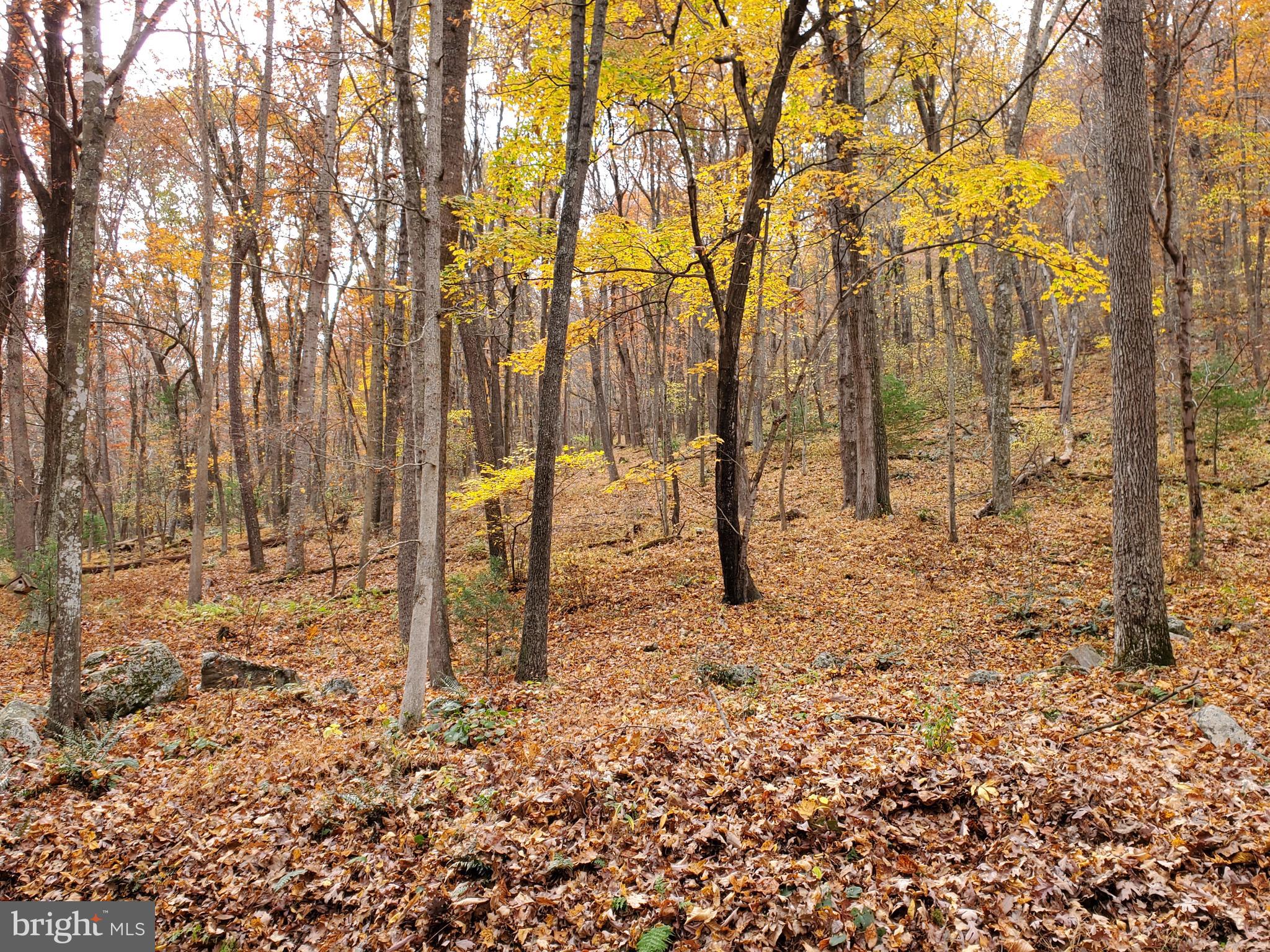 TROUT POND - Residential