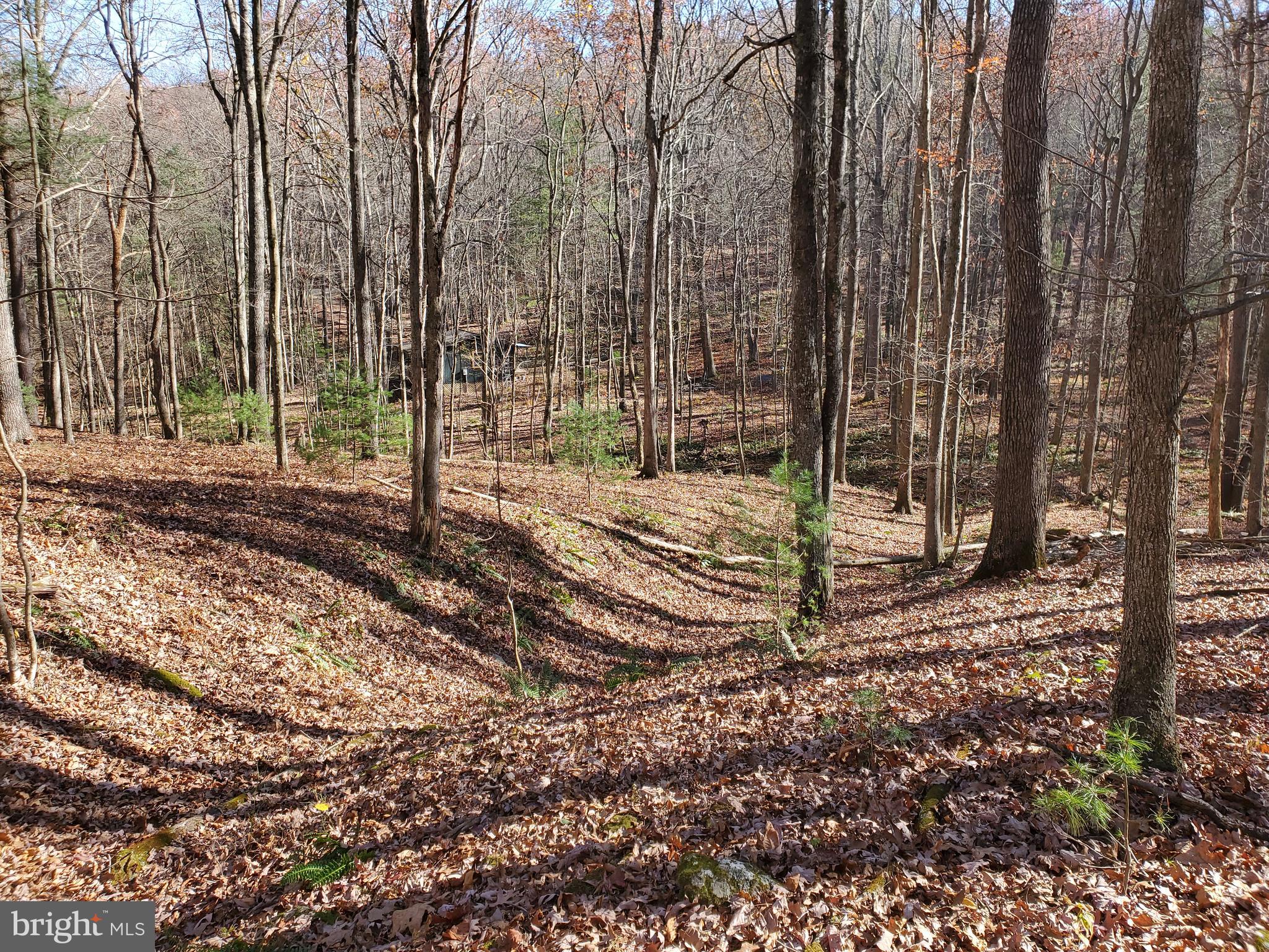 TROUT POND - Residential