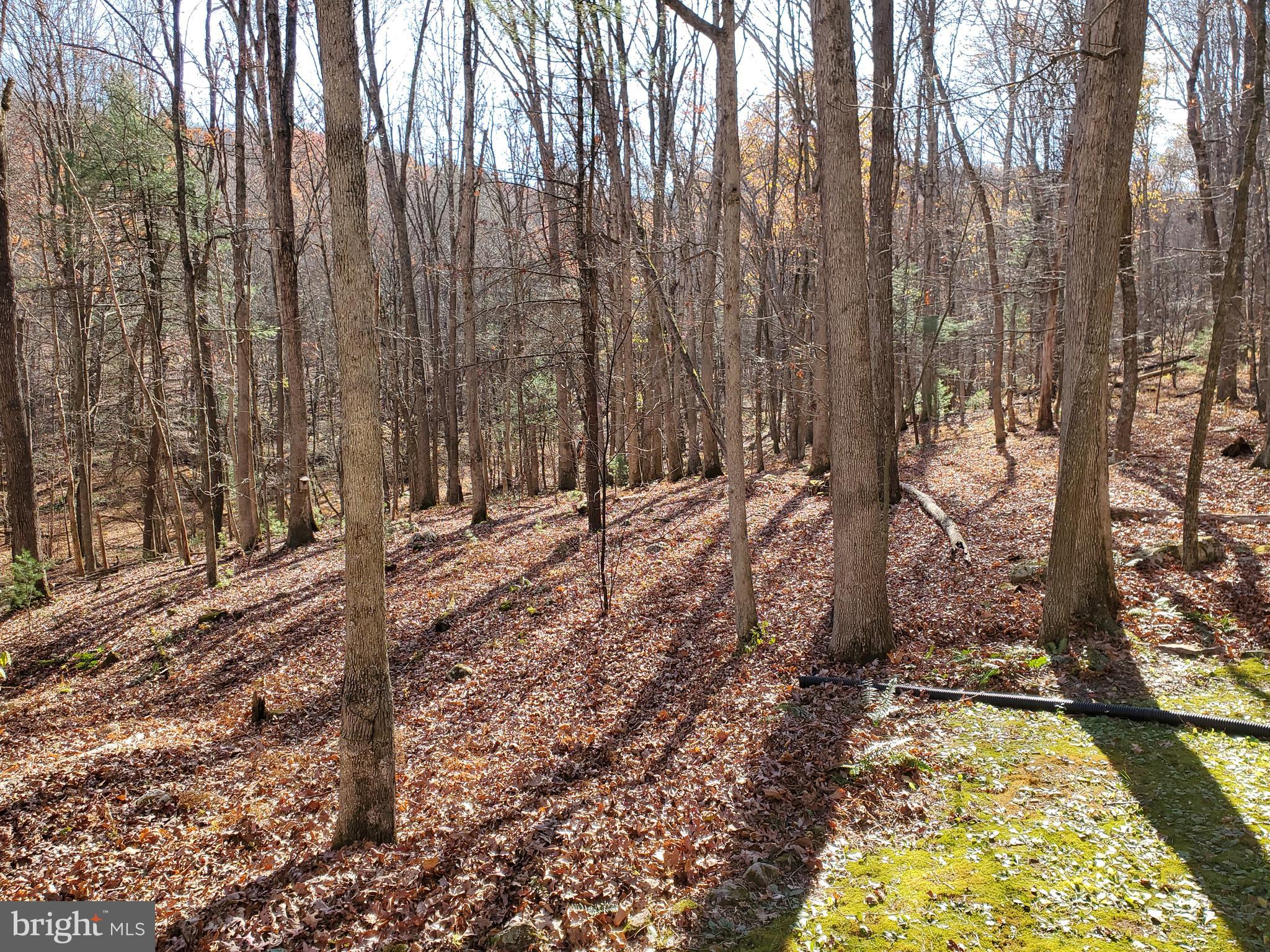 TROUT POND - Residential