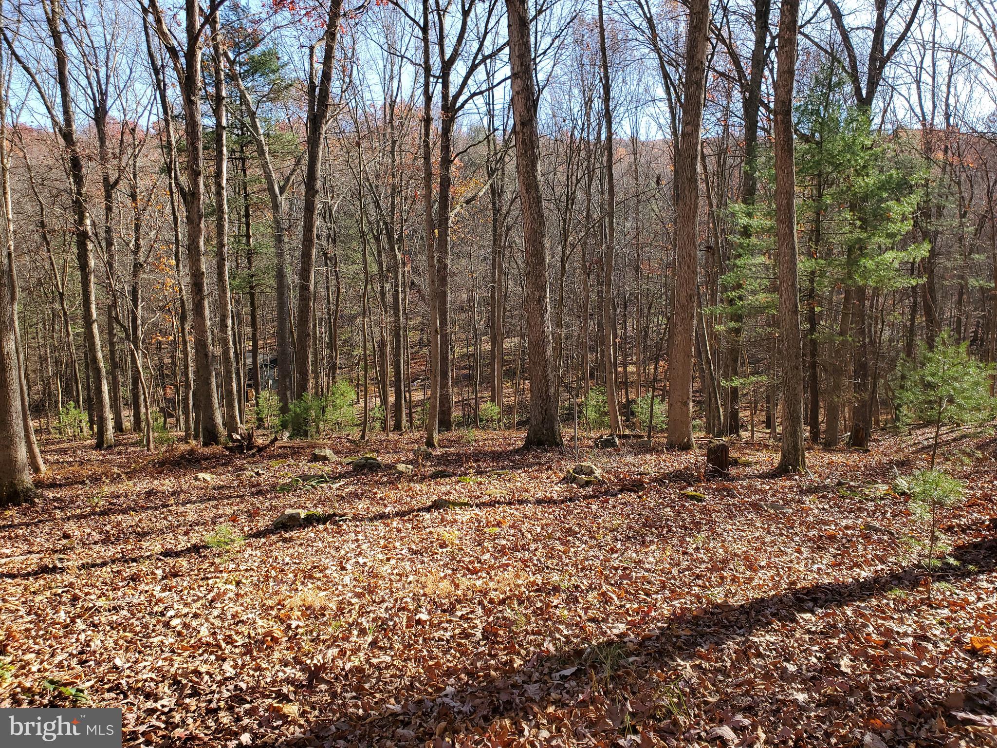 TROUT POND - Residential