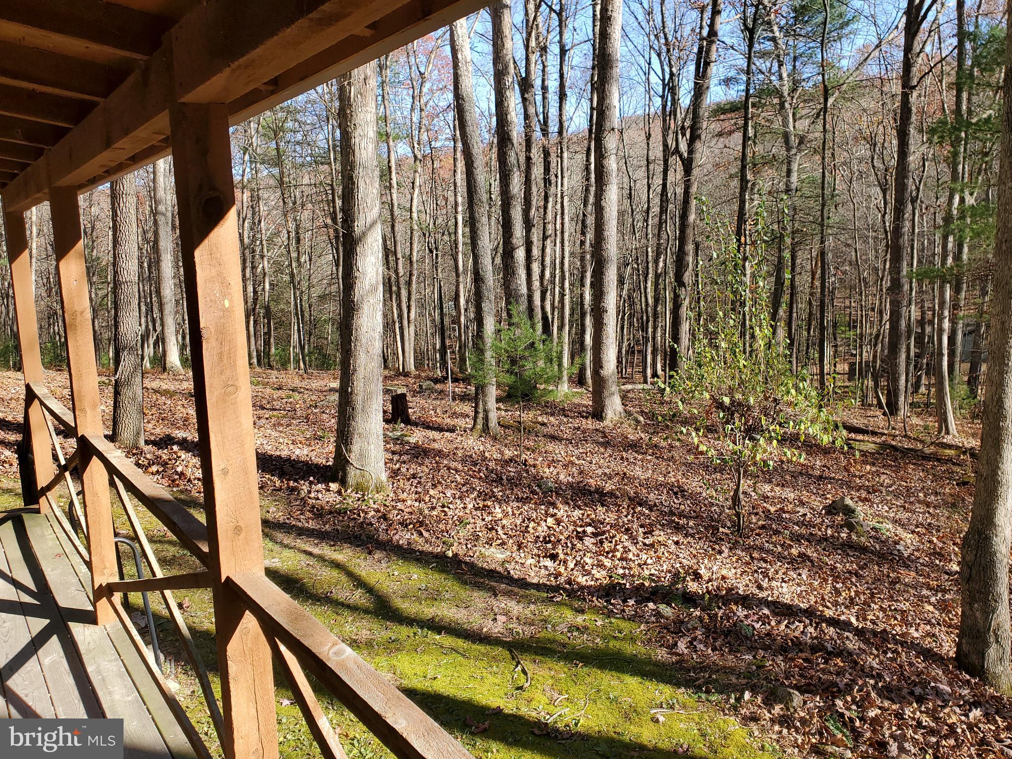 TROUT POND - Residential