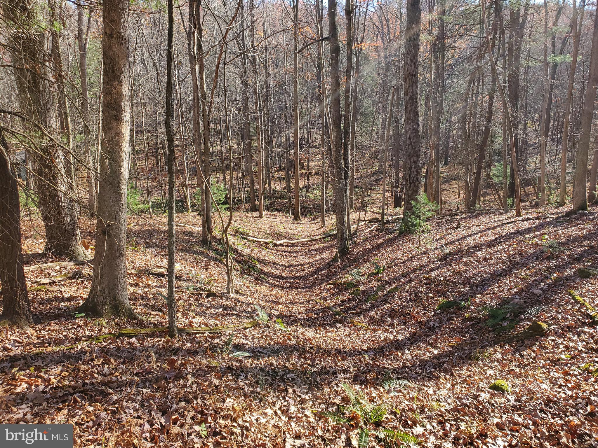 TROUT POND - Residential