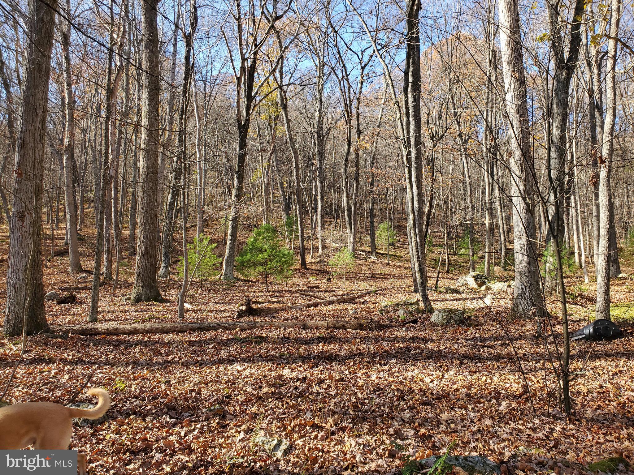 TROUT POND - Residential