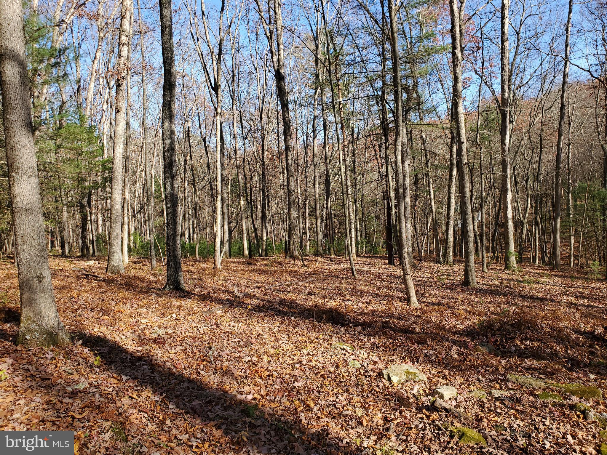 TROUT POND - Residential