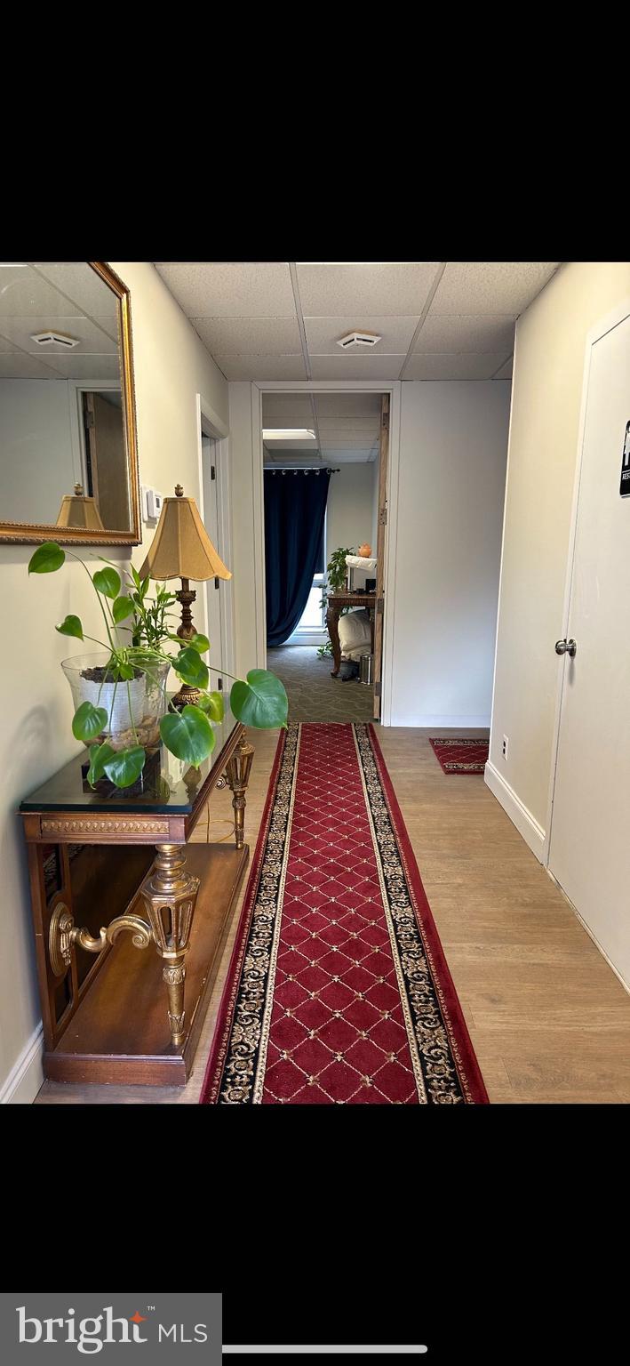 PIKE AND ROSE - Commercial Sale