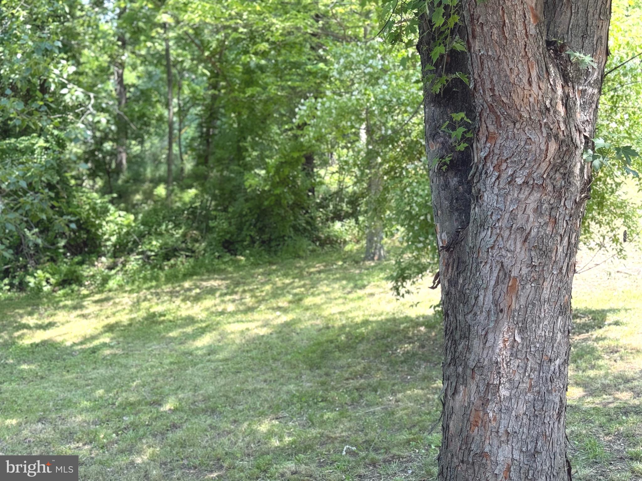 QUINCY TWP - Residential