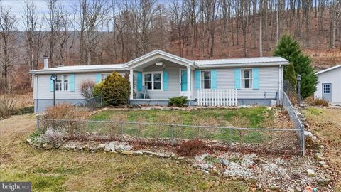 14214 BLACK WALNUT LANE ELLERSLIE MD 21529