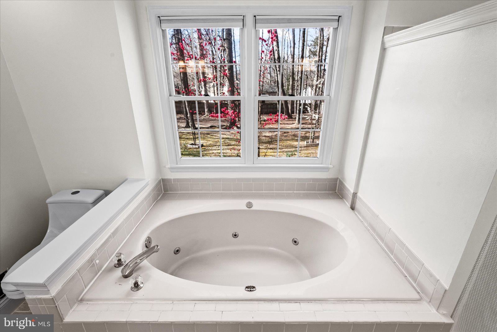 CHANCELLOR PARK - Residential