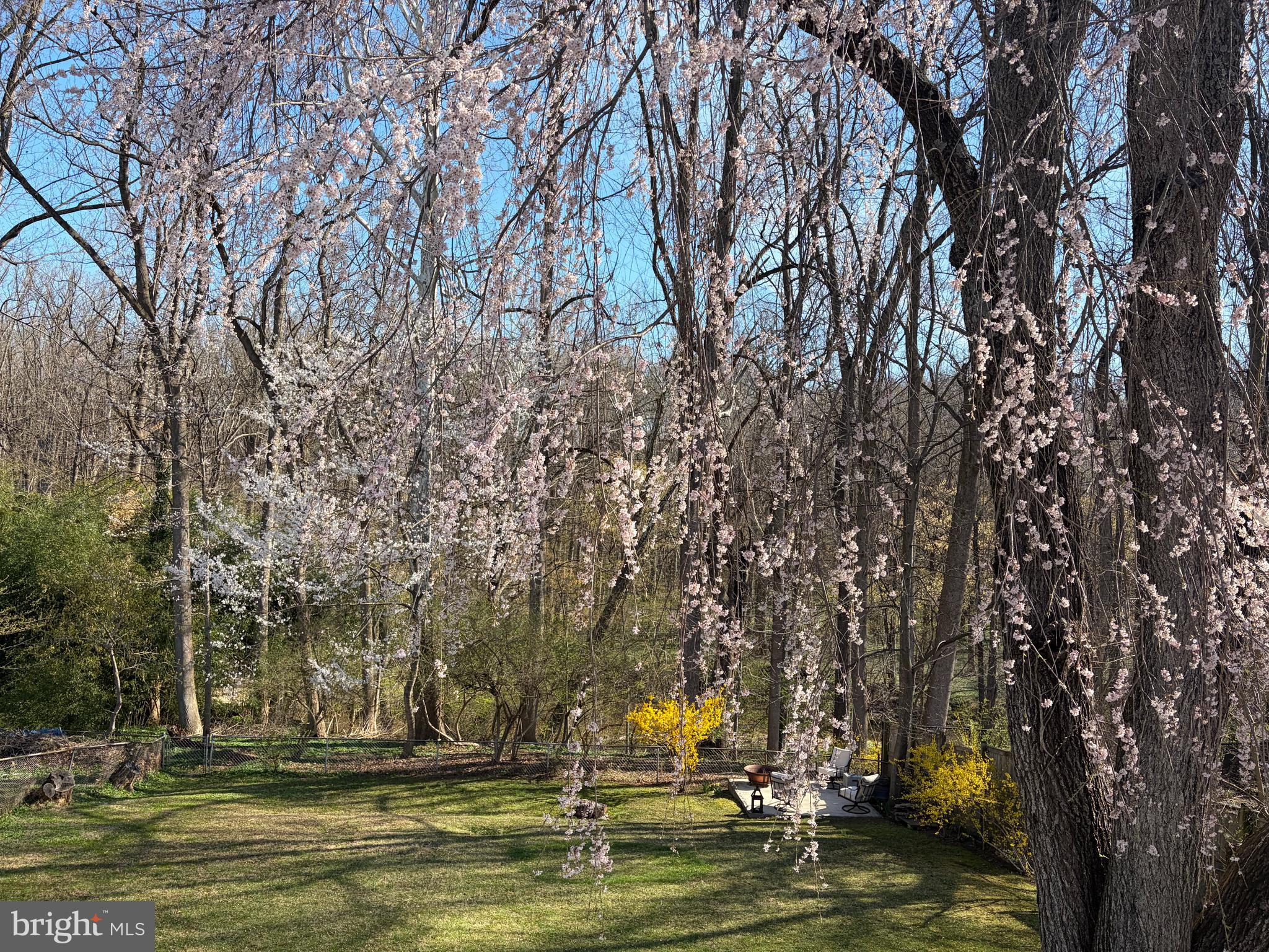RANDOLPH HILLS - Residential