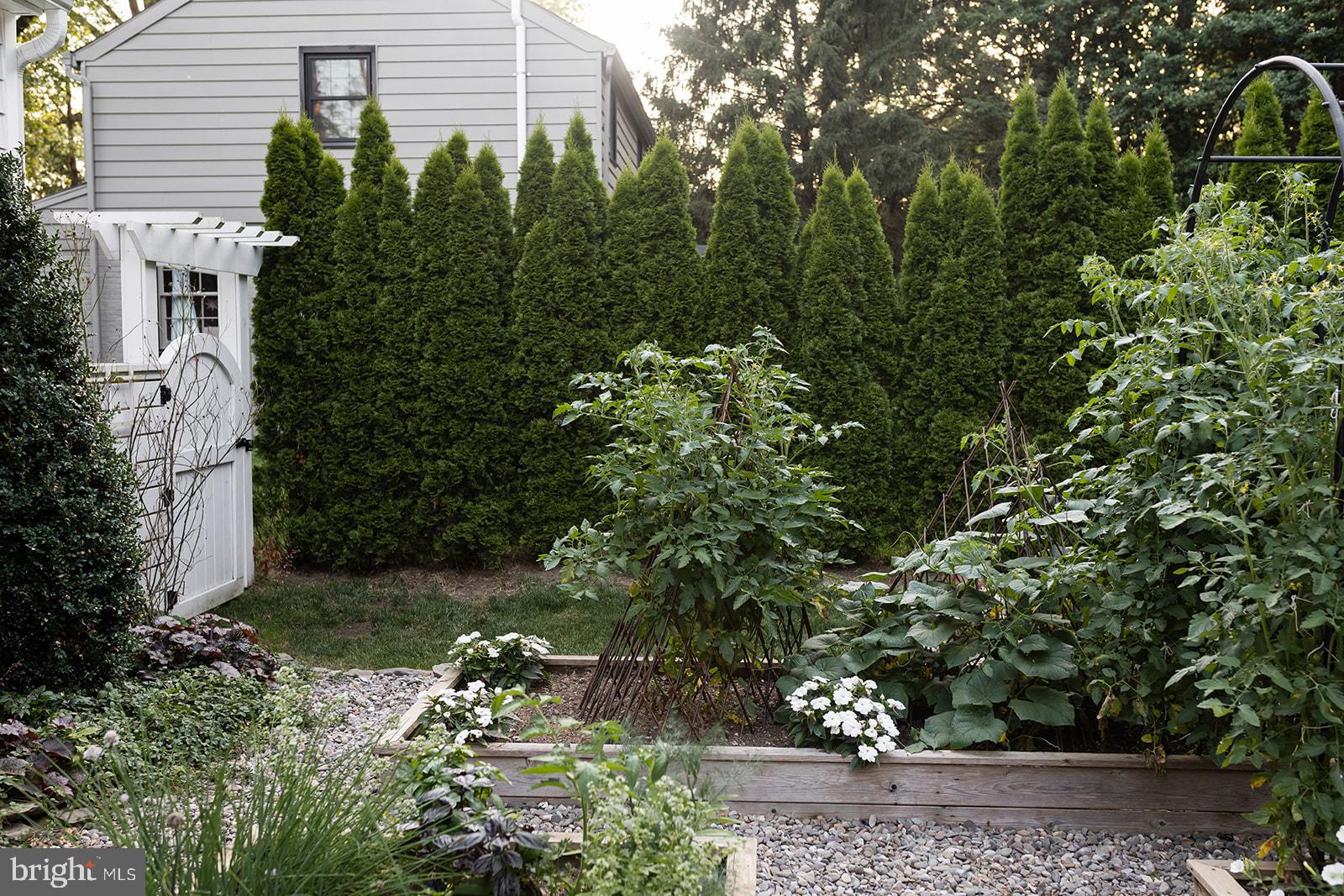 CONESTOGA WOODS - Residential