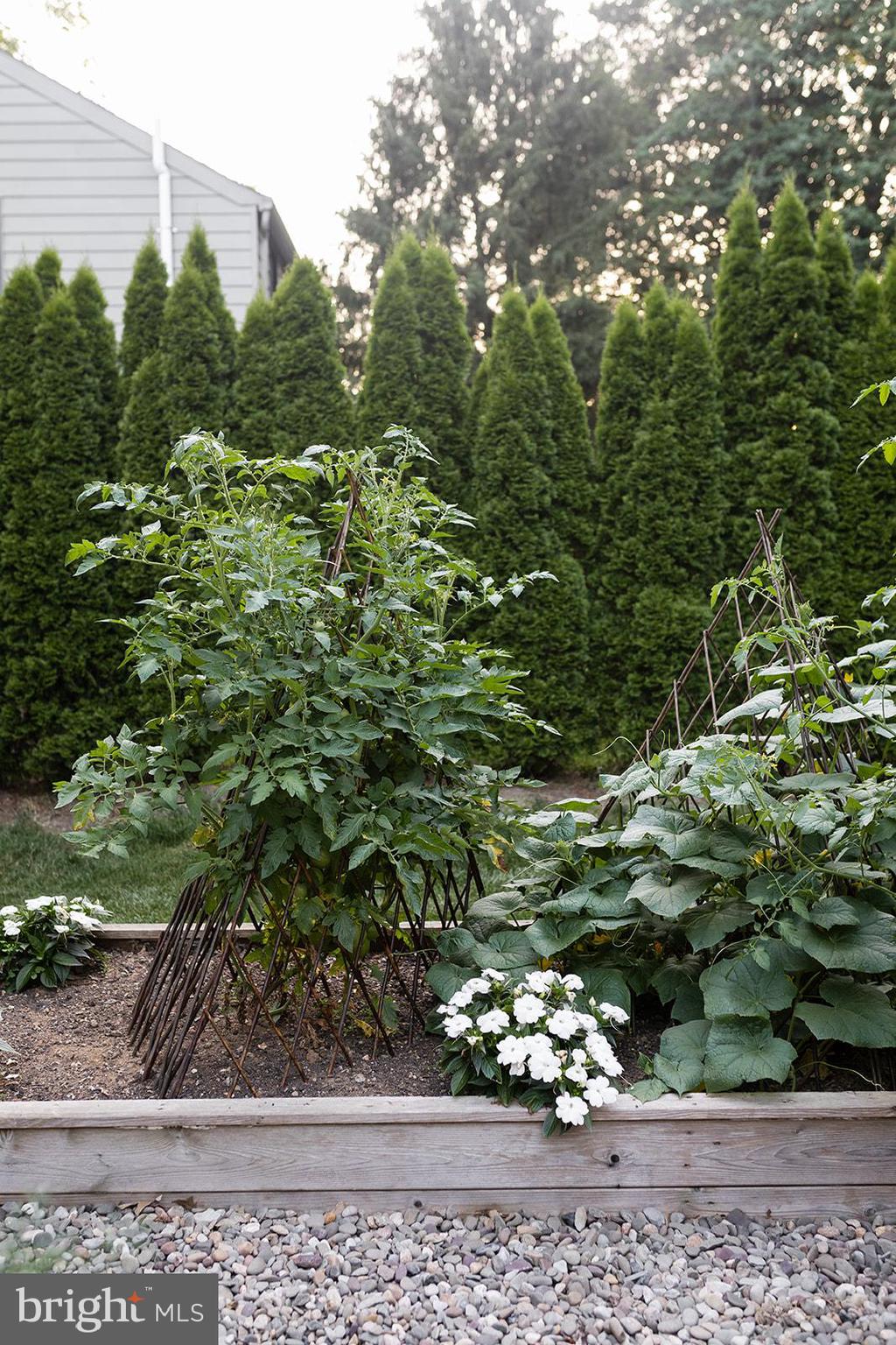 CONESTOGA WOODS - Residential