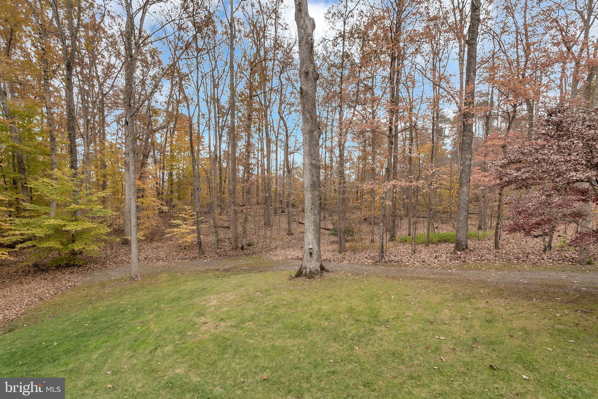 LAKE OF THE WOODS - Residential