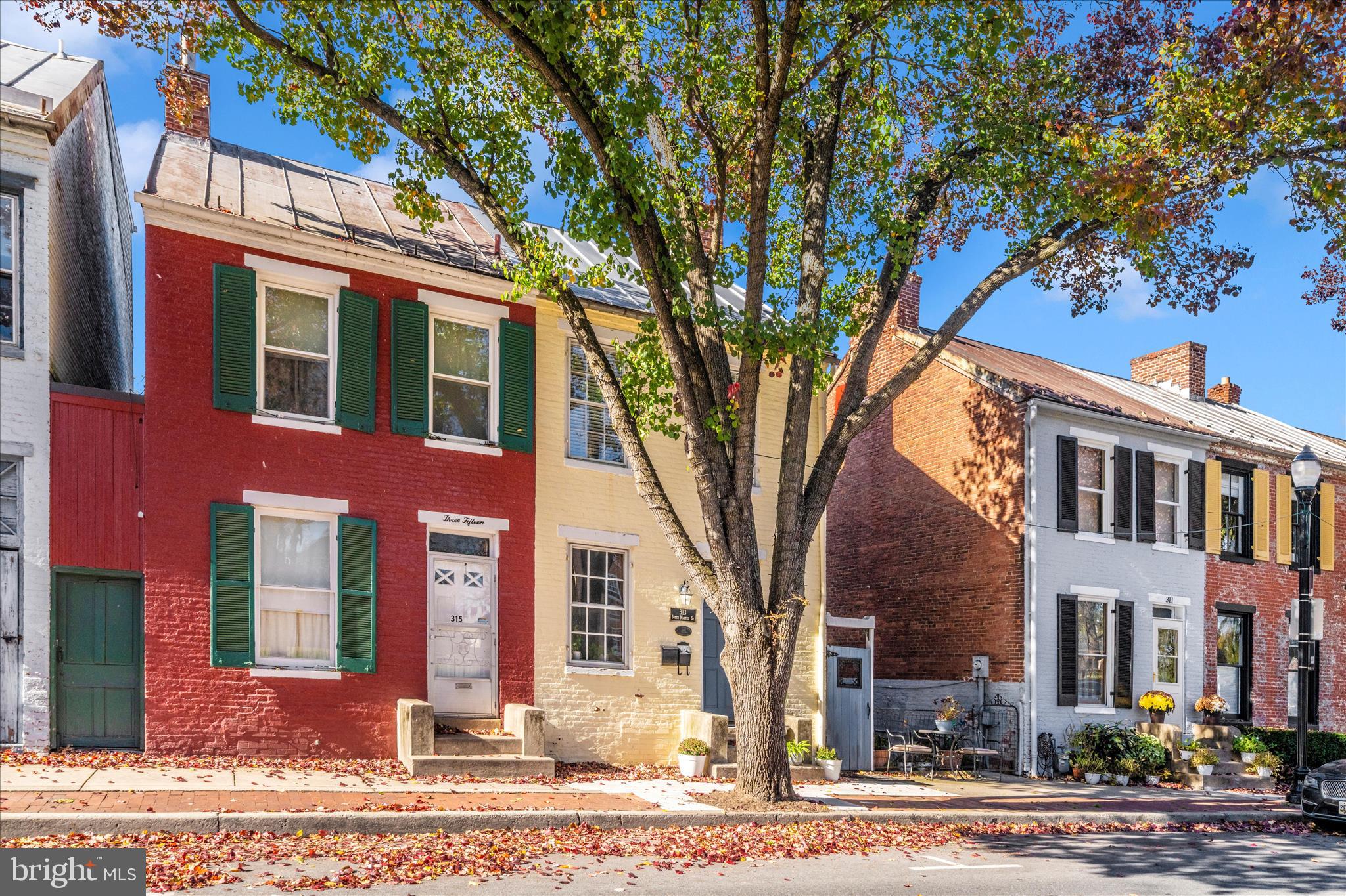 DOWNTOWN FREDERICK - Residential