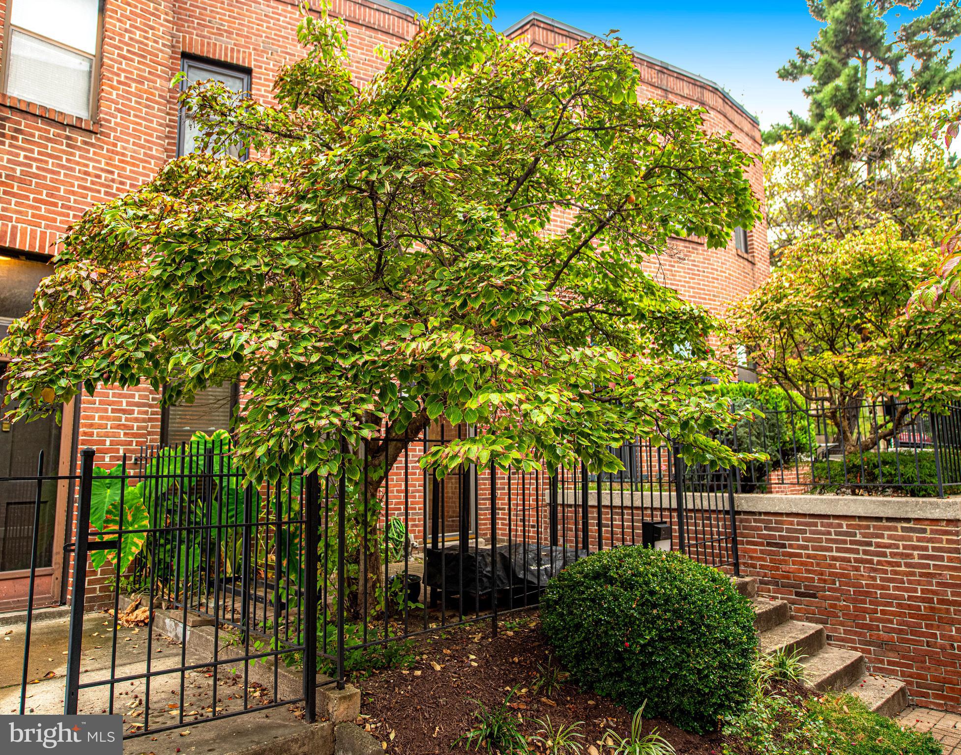 MOUNT VERNON PLACE HISTORIC DISTRICT - Residential