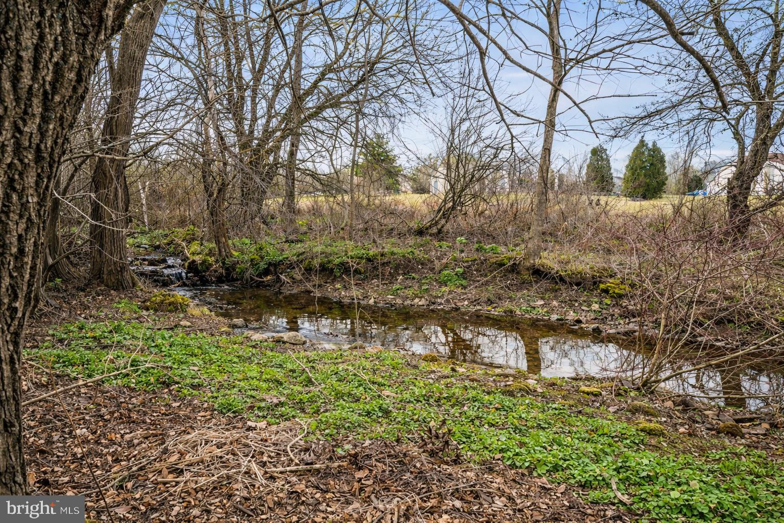 BEDMINSTER HUNT - Residential