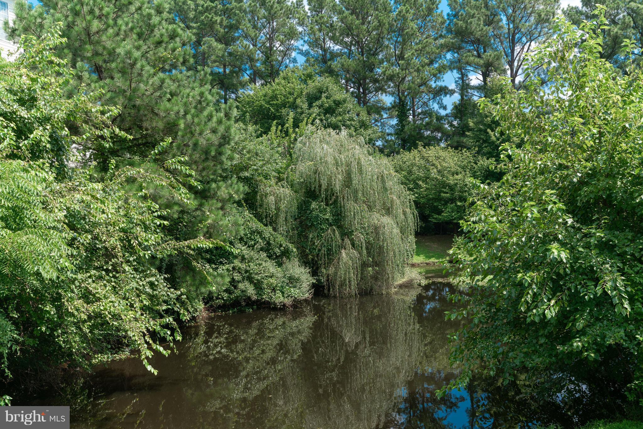 CHATHAM GREEN CONDOMINIUM - Residential