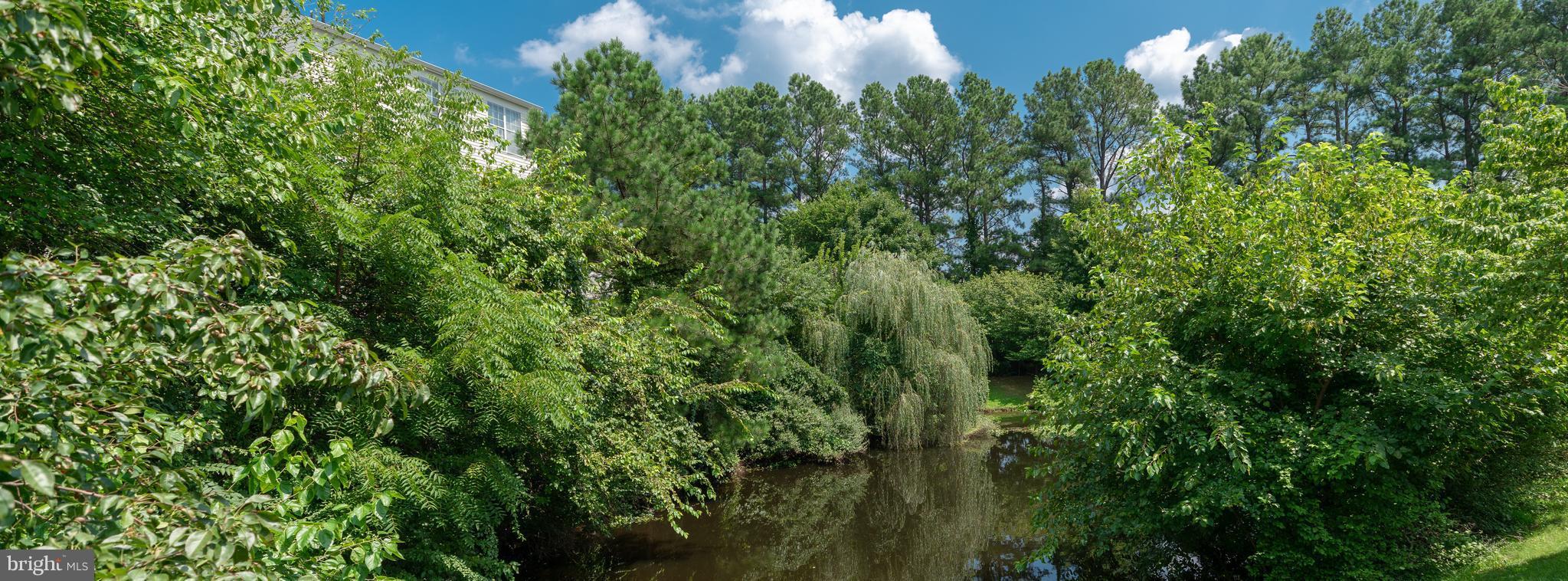 CHATHAM GREEN CONDOMINIUM - Residential