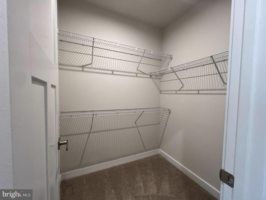 PADDOCK POINTE - Residential Lease