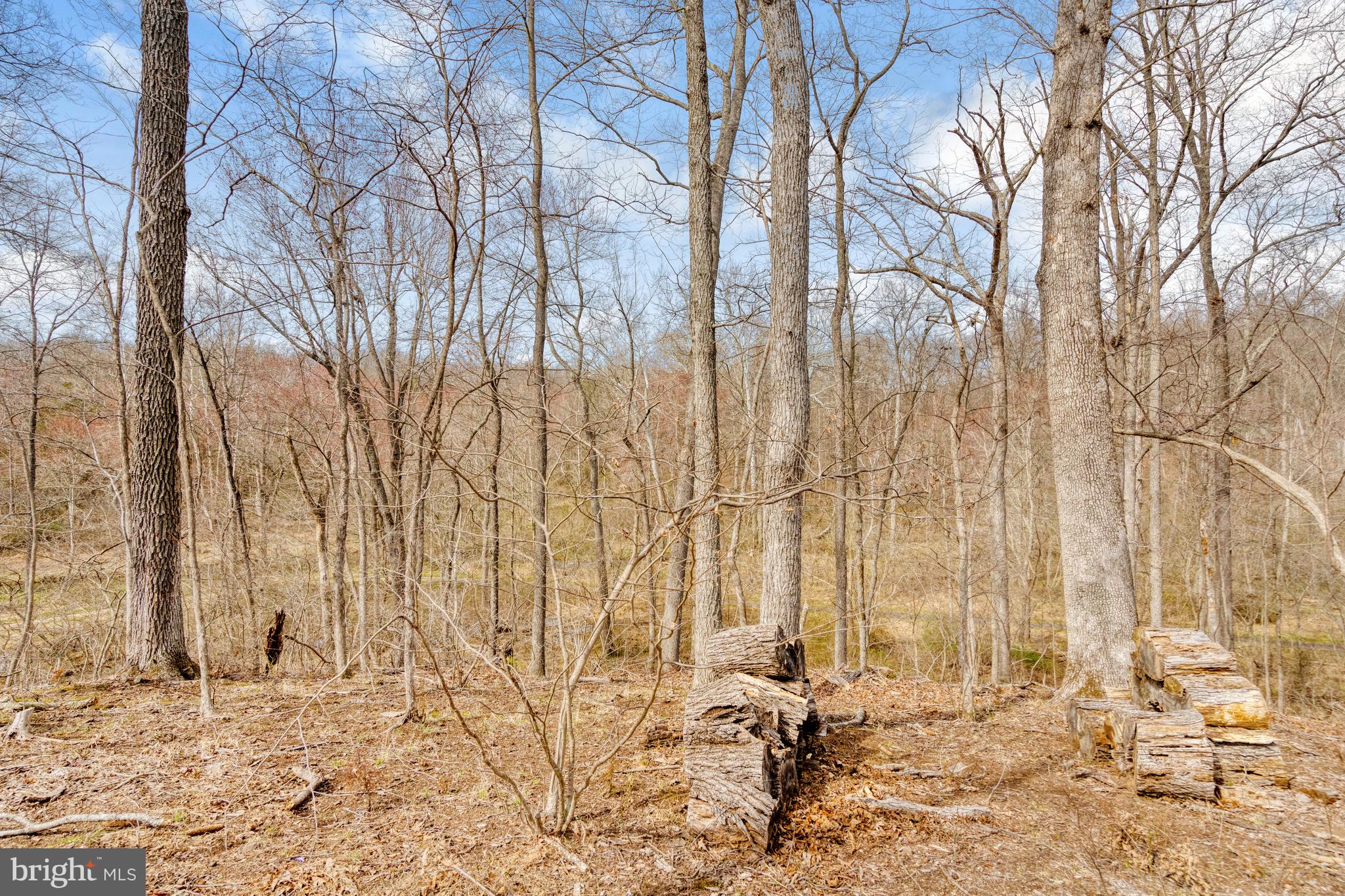 REGENCY AT CREEKSIDE - Residential