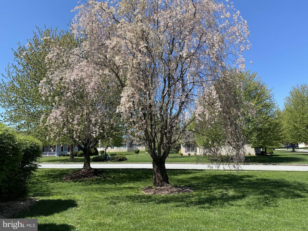 Photo of 36 Rosemont Drive, MYERSTOWN, PA 17067 (MLS # PALN2024784)