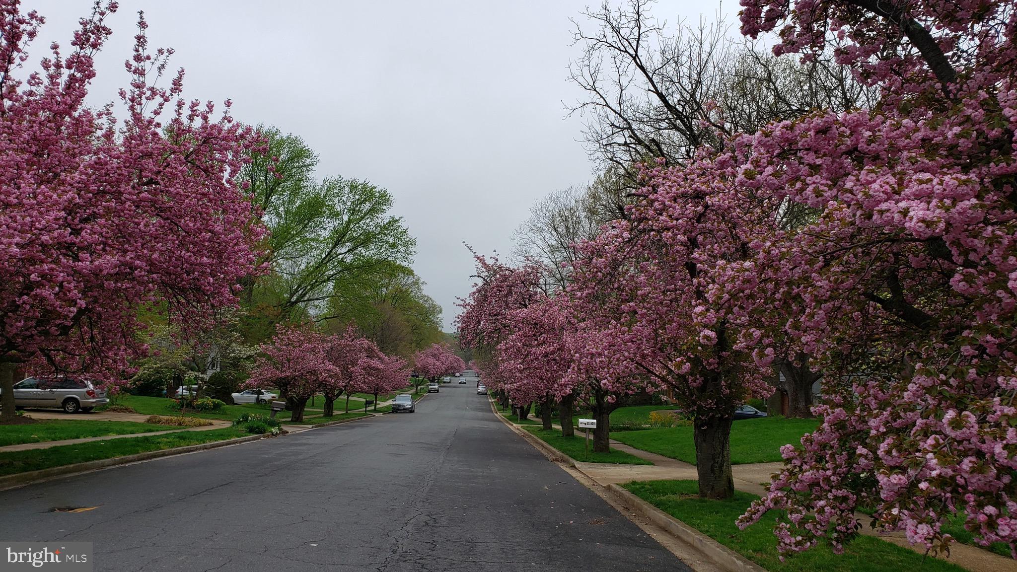 LAKEVALE ESTATES - Residential Lease