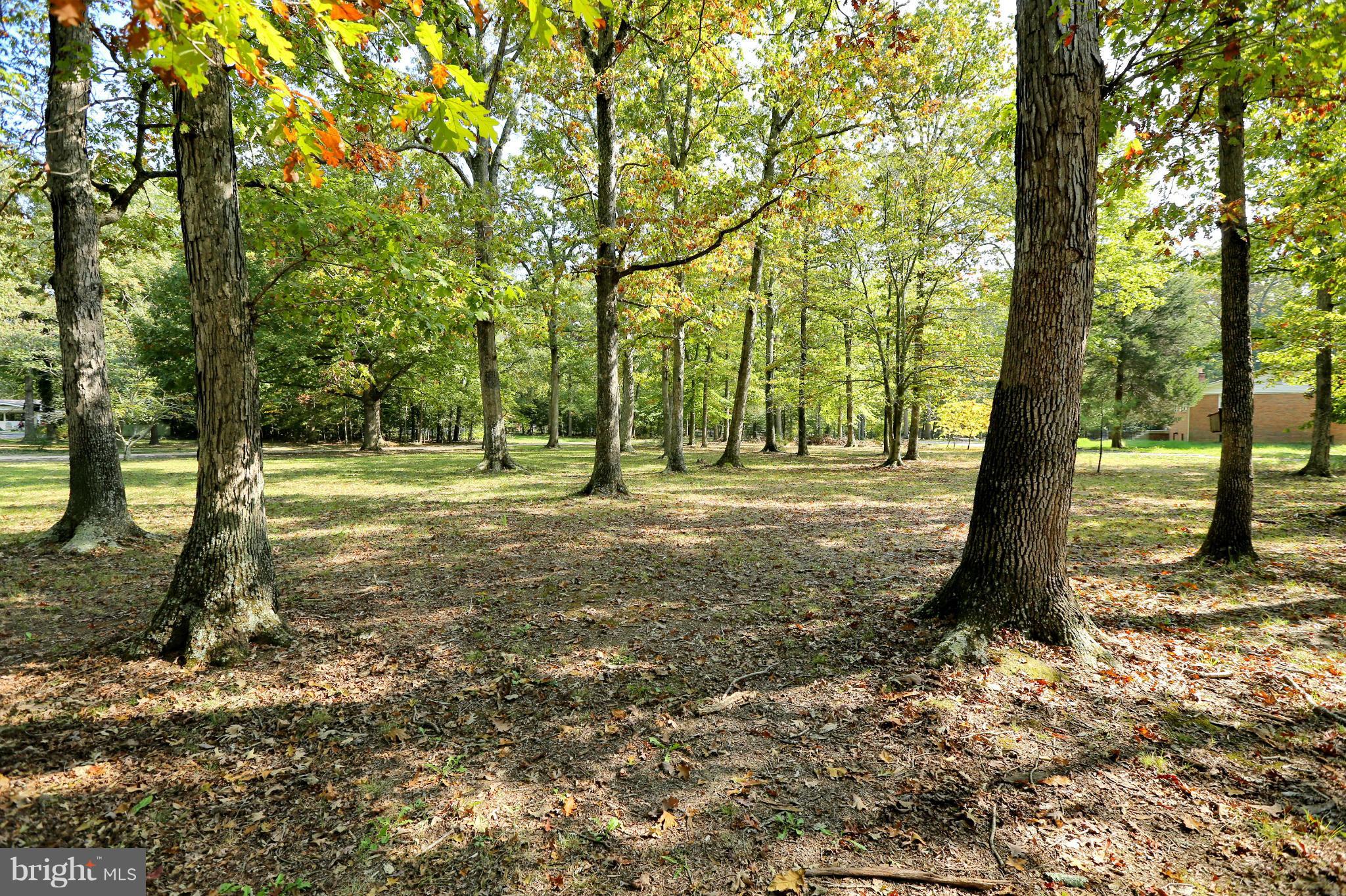 FOREST GROVE - Residential