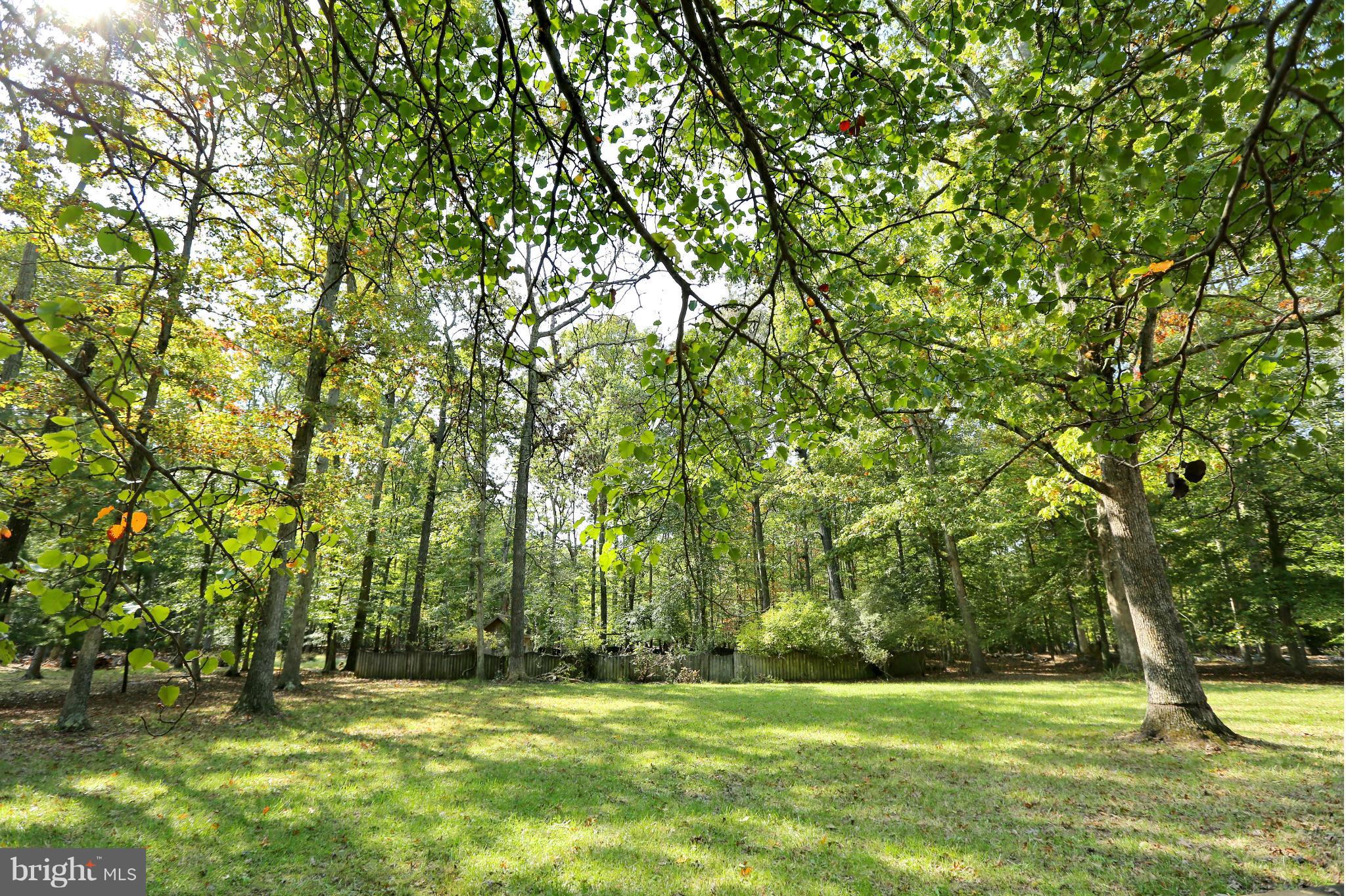 FOREST GROVE - Residential