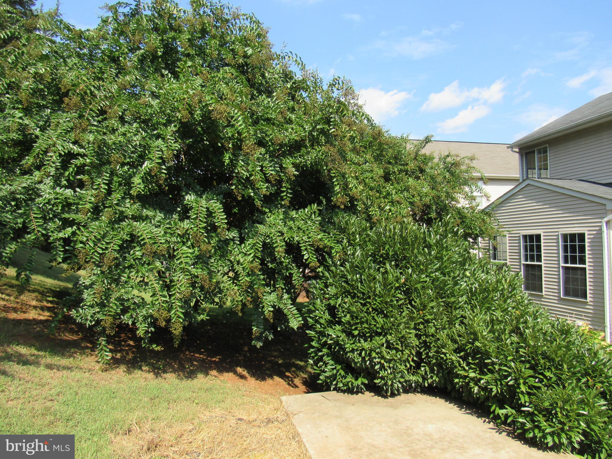 FRANKLIN MEADOWS - Residential