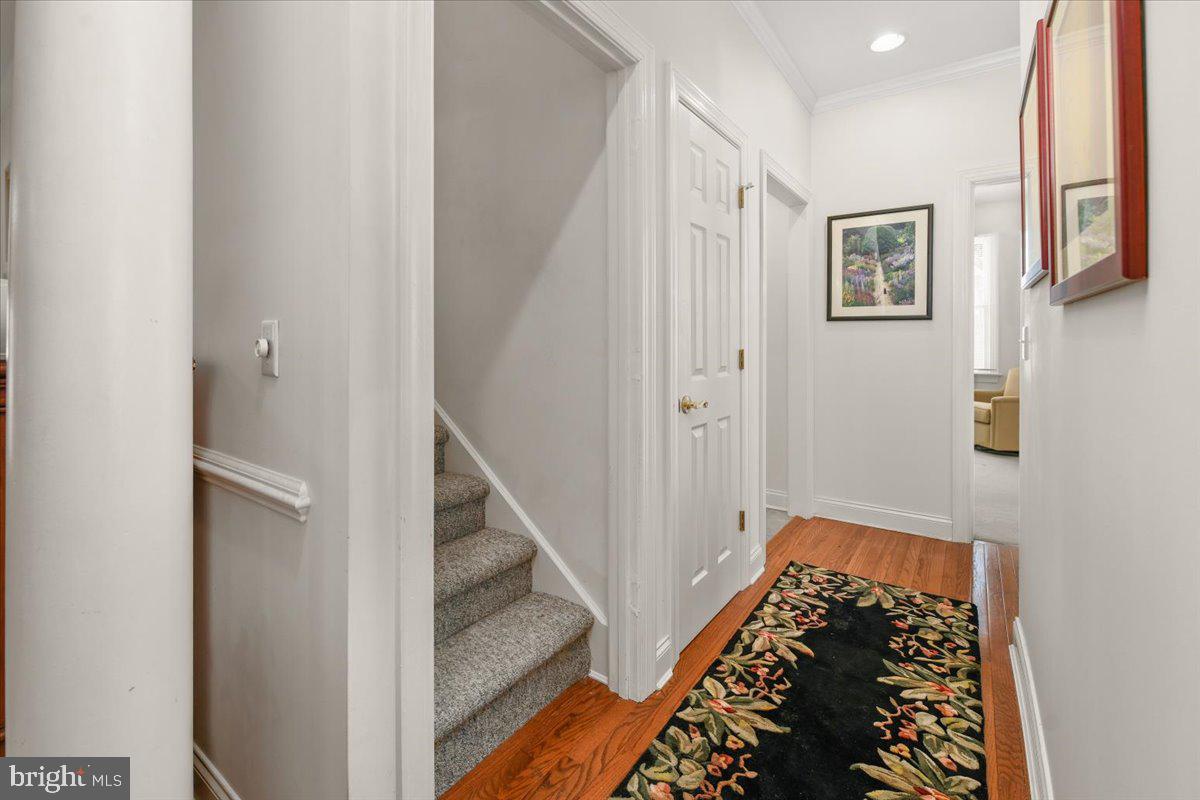 OLDE TOWN - Residential