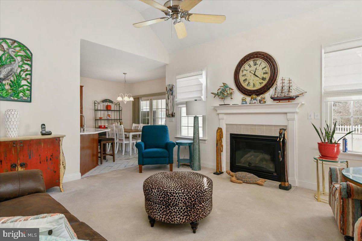 OLDE TOWN - Residential