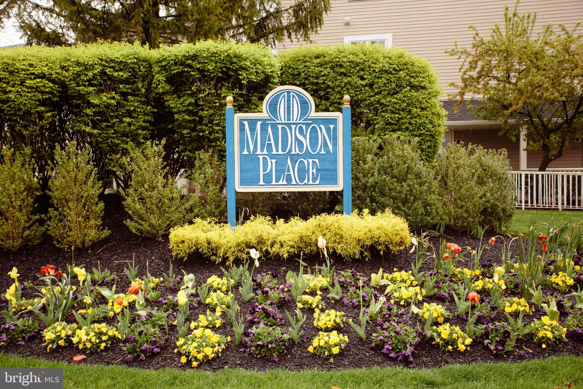 1506 SAXONY DRIVE