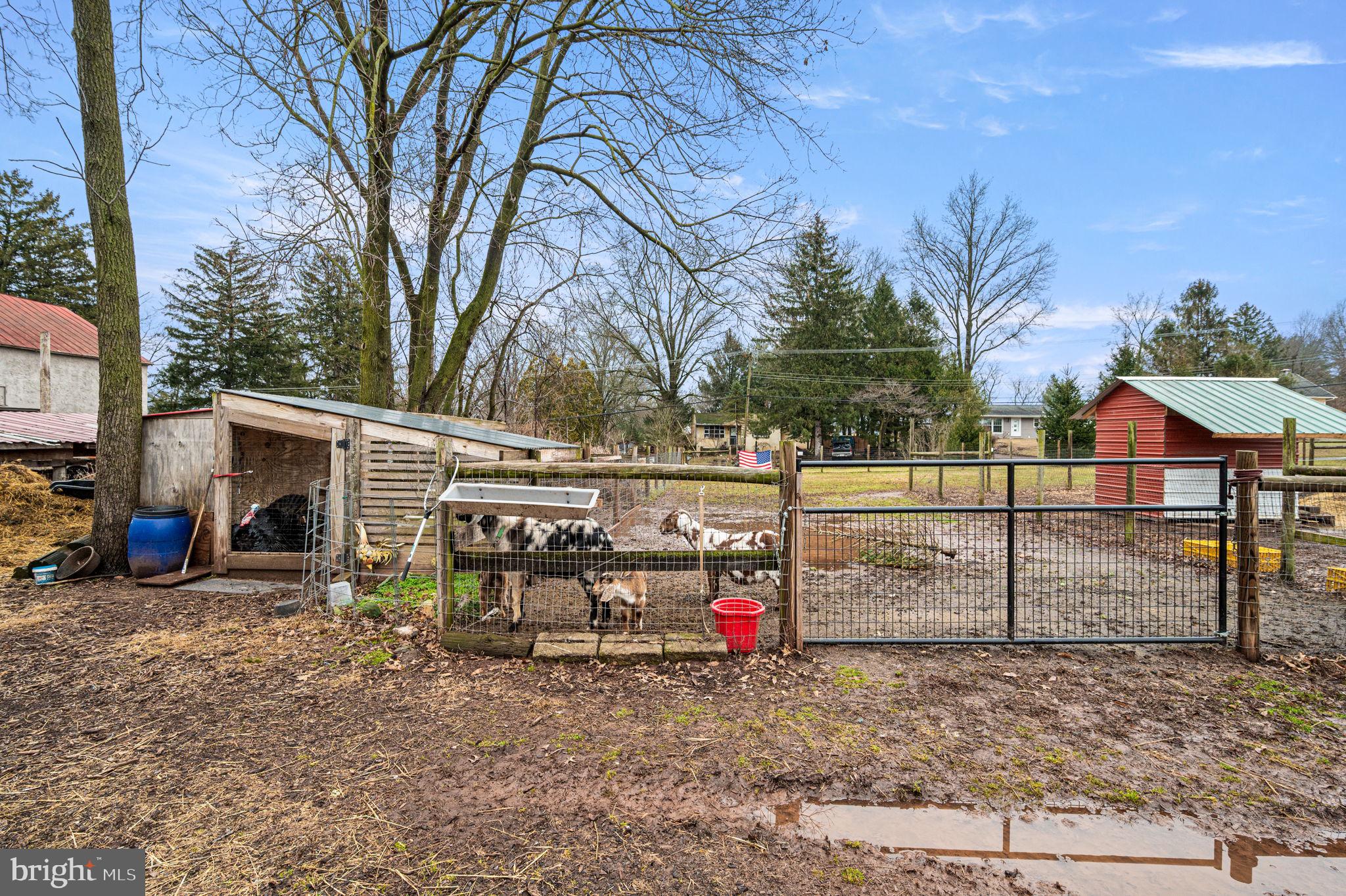 1286 E SCHUYLKILL ROAD