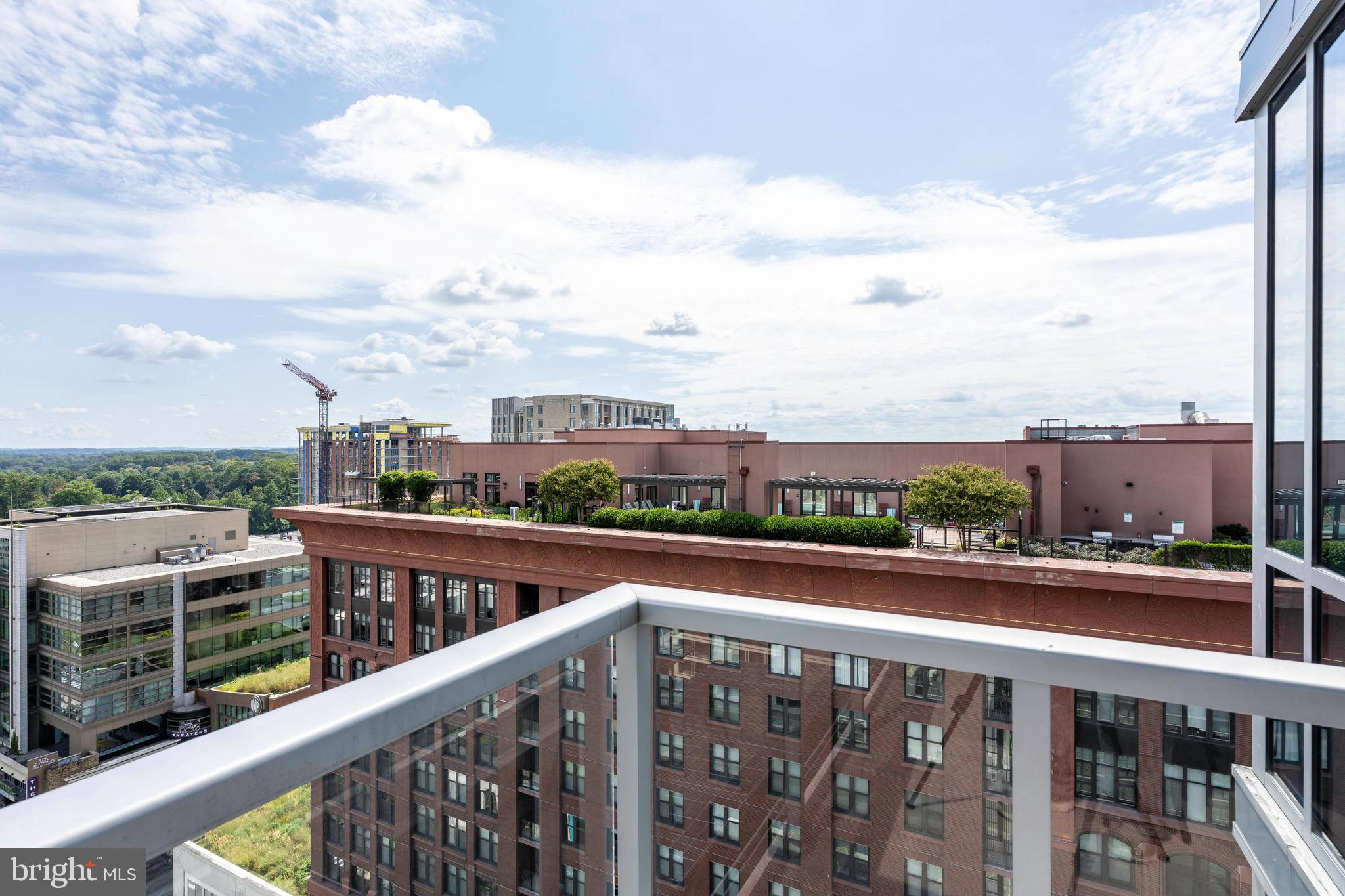 PIKE AND ROSE - Residential