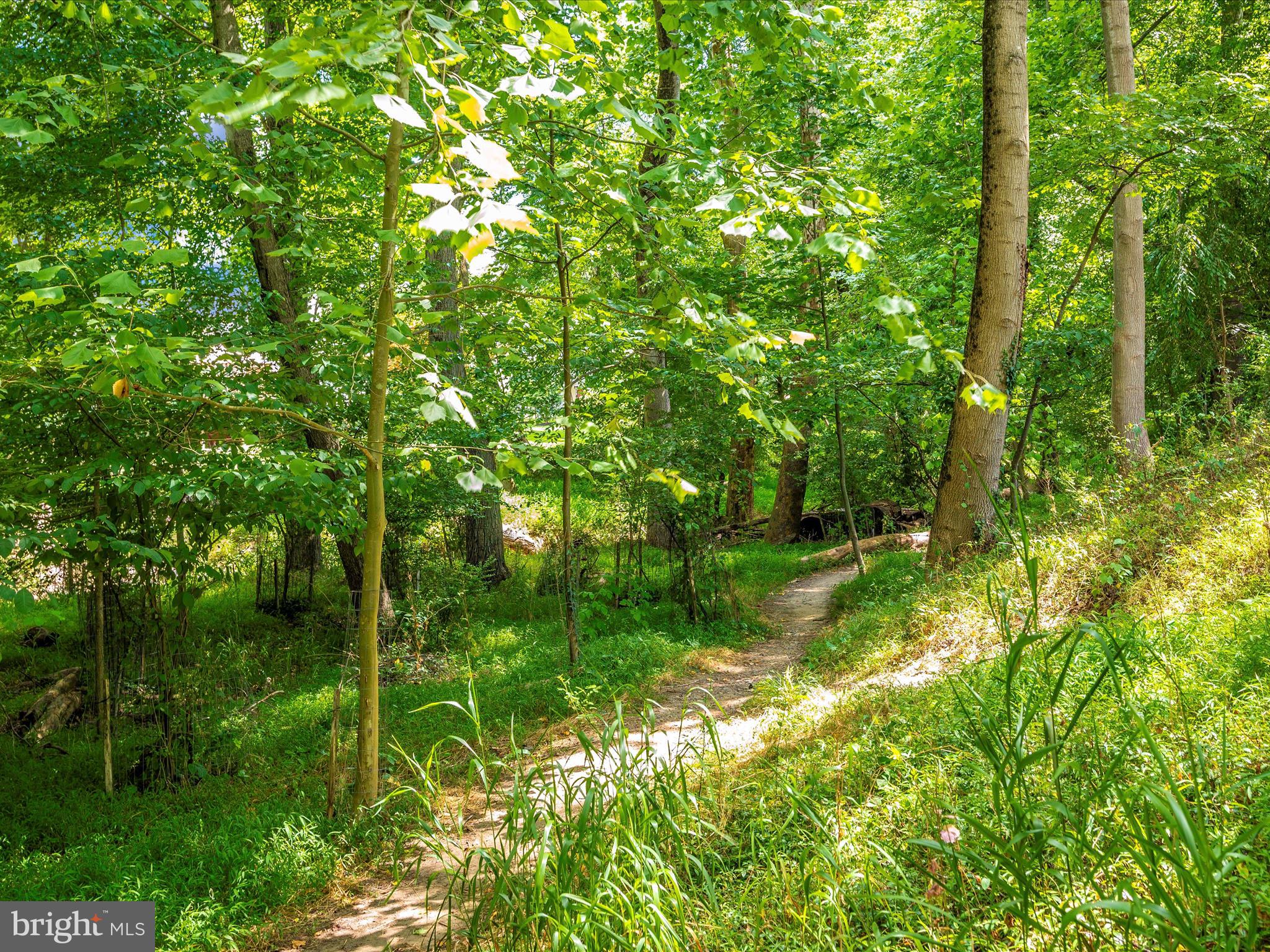 SHERWOOD FOREST MANOR - Residential