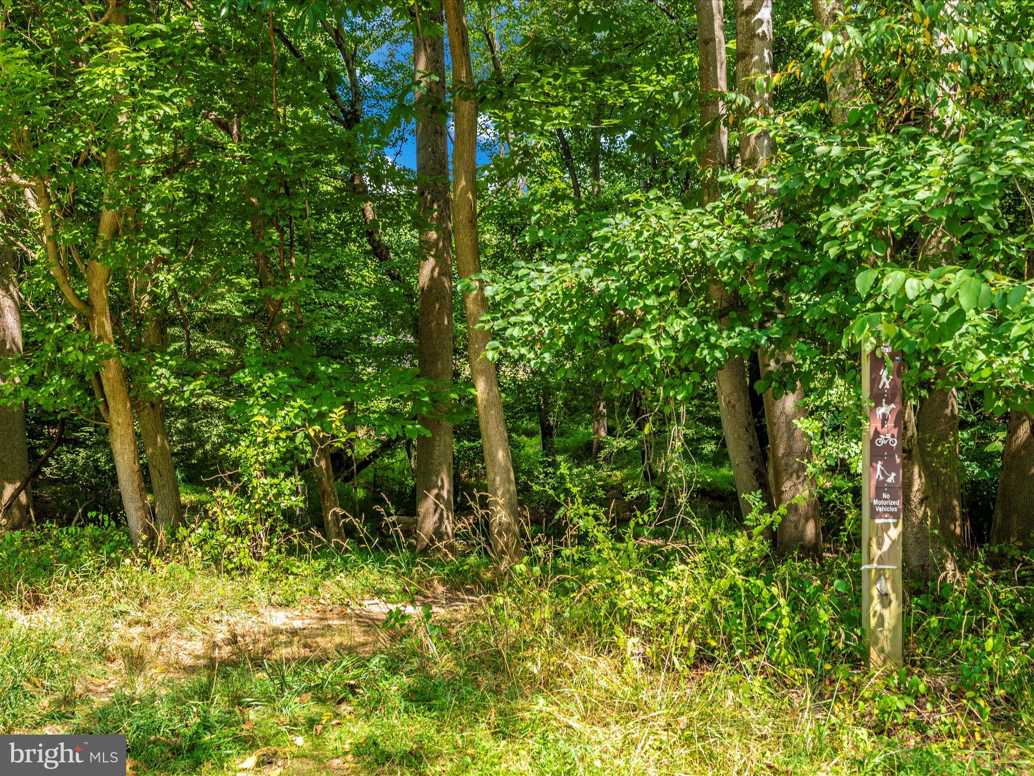 SHERWOOD FOREST MANOR - Residential