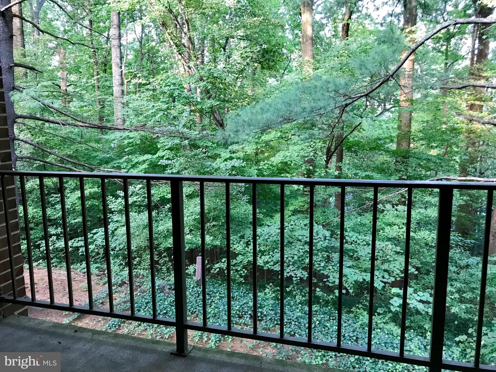 NORTHGATE - Residential Lease