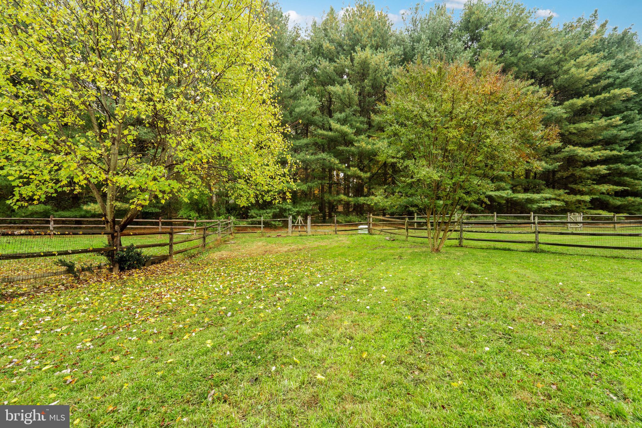 SALEMS GRANT - Residential