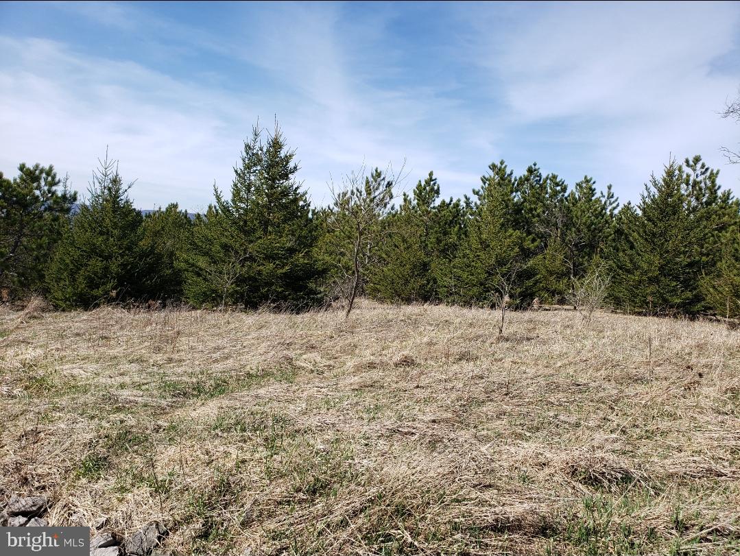 THE SUMMIT OF HARWOOD - Land